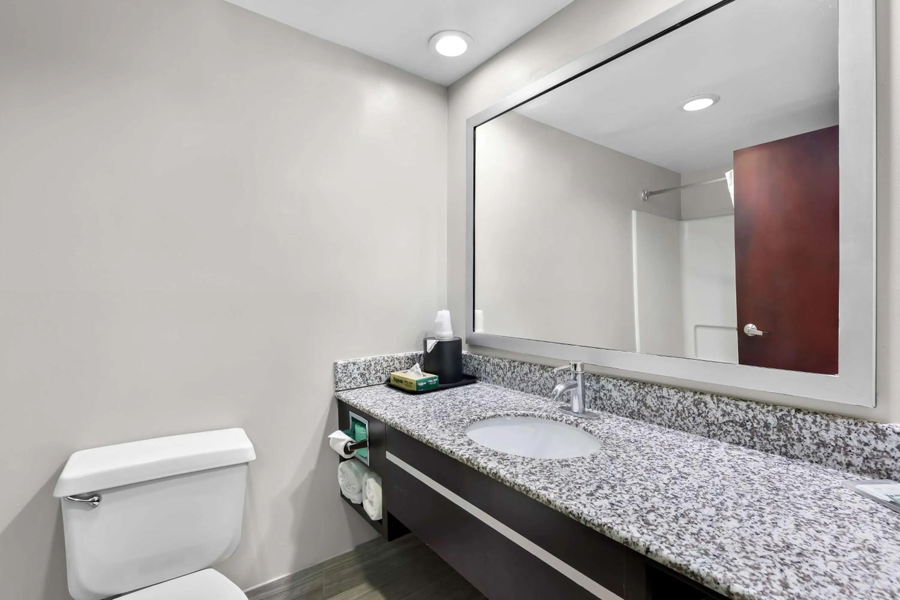 Bathroom in Best Western Knoxville Suites - Downtown