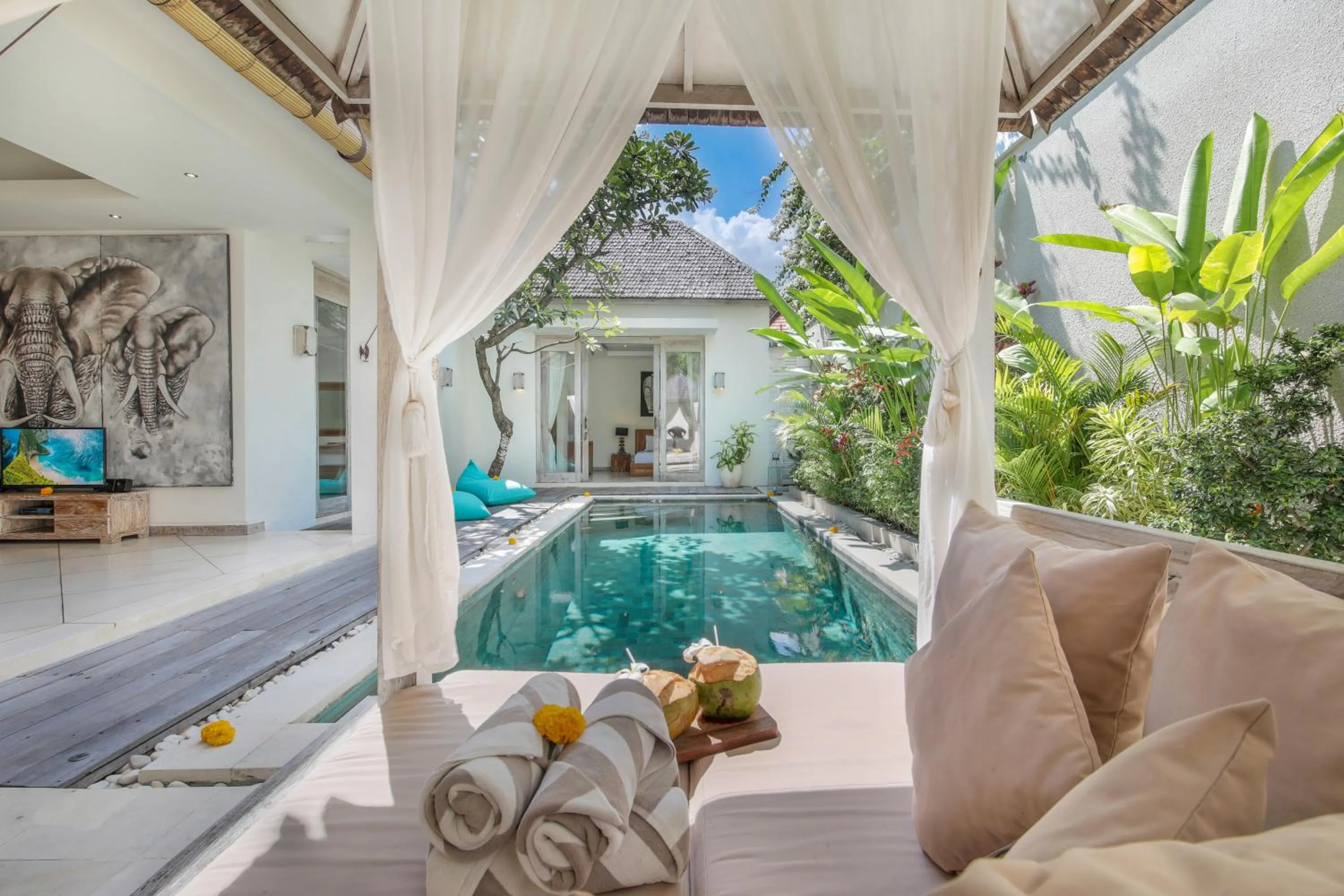 Swimming pool in Villa Safari