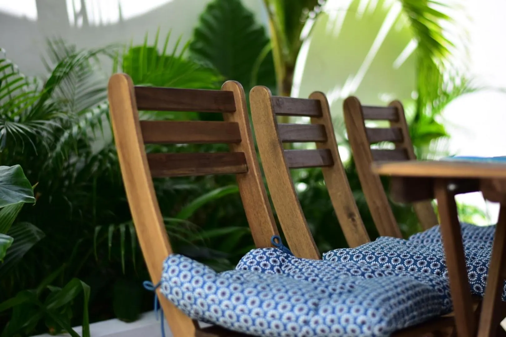 Restaurant/places to eat in Veli Vilaa