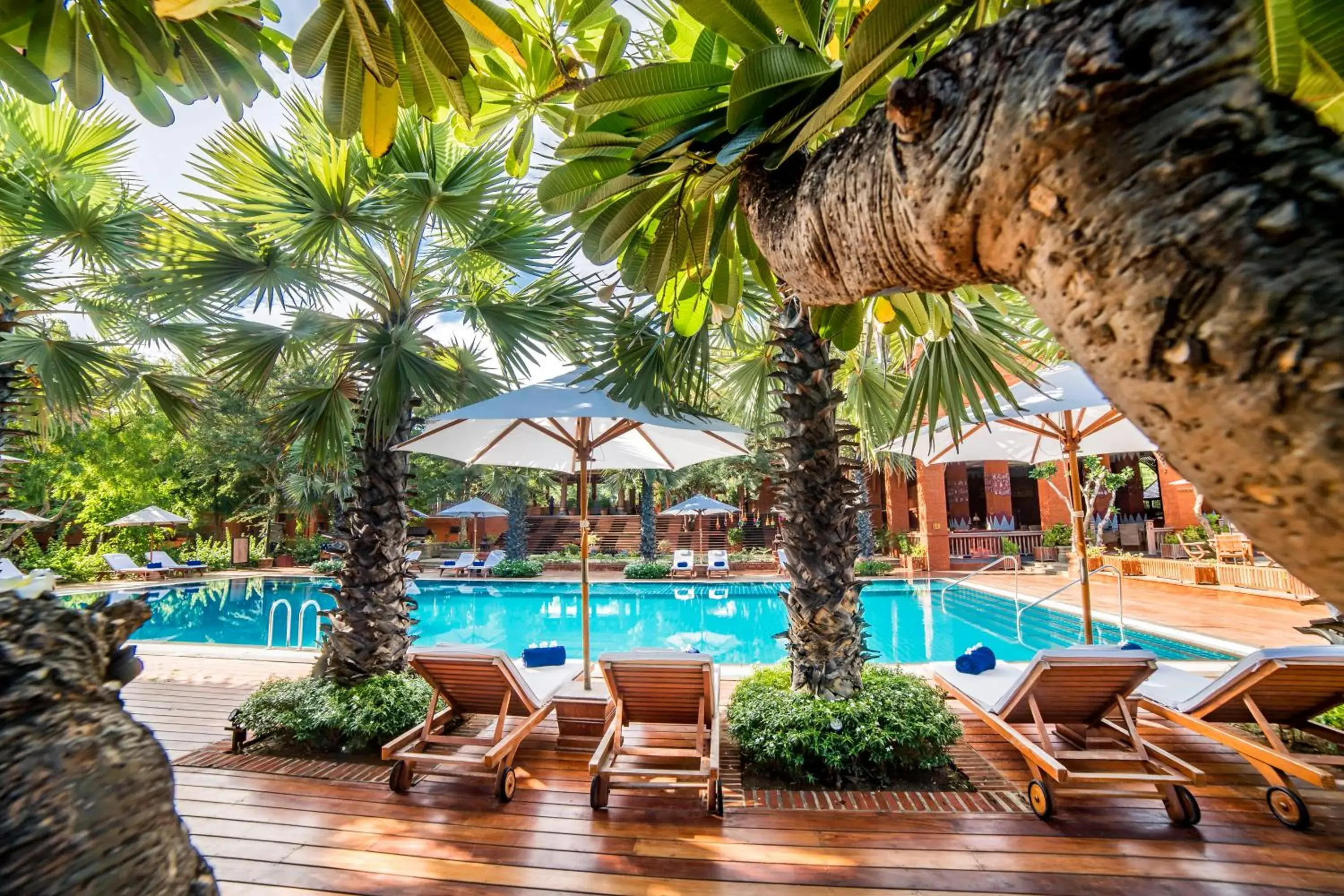 Pool view in Heritage Bagan Hotel Pool view in Heritage Bagan Hotel