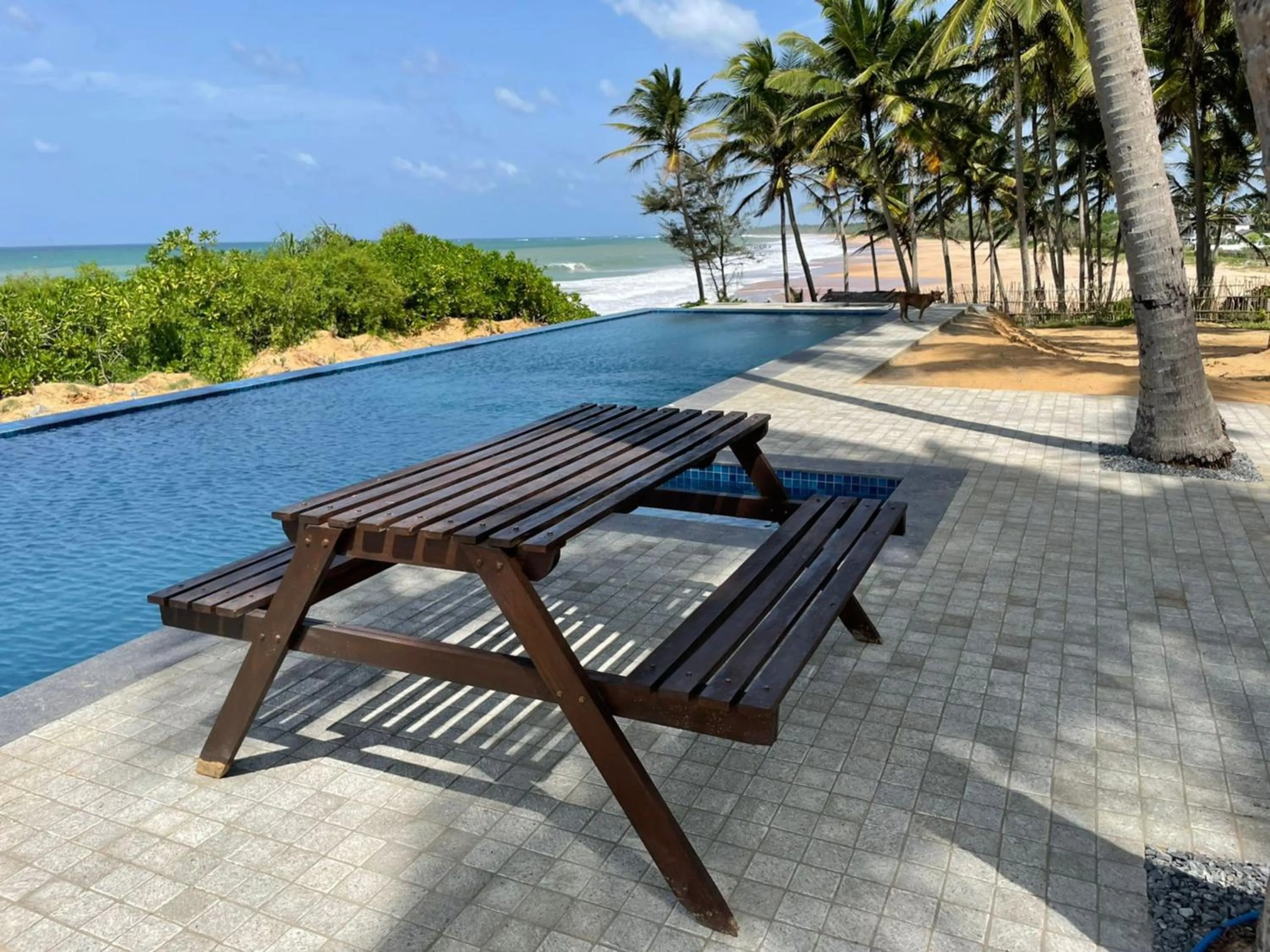 Swimming pool in Ocean Cottage