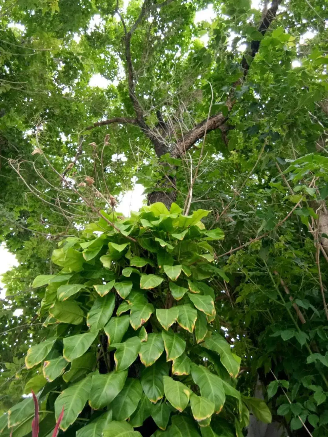 Property building in Sor Kor Sor Resort Property building in Sor Kor Sor Resort