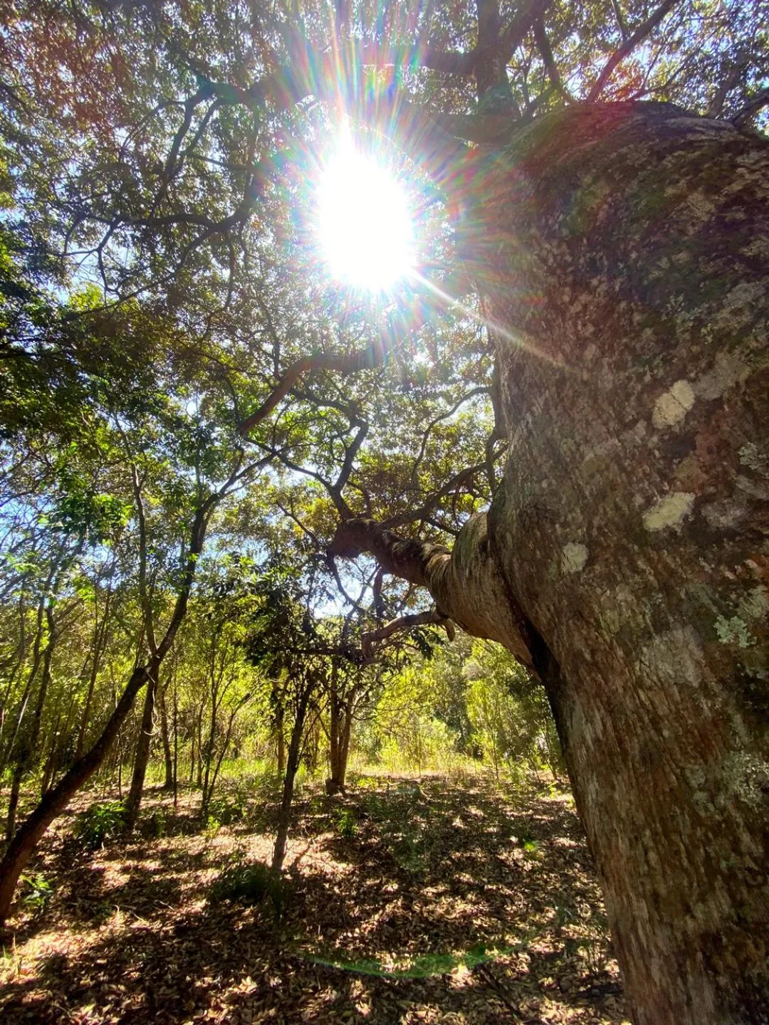 Natural landscape in Pousada Pé do Morro