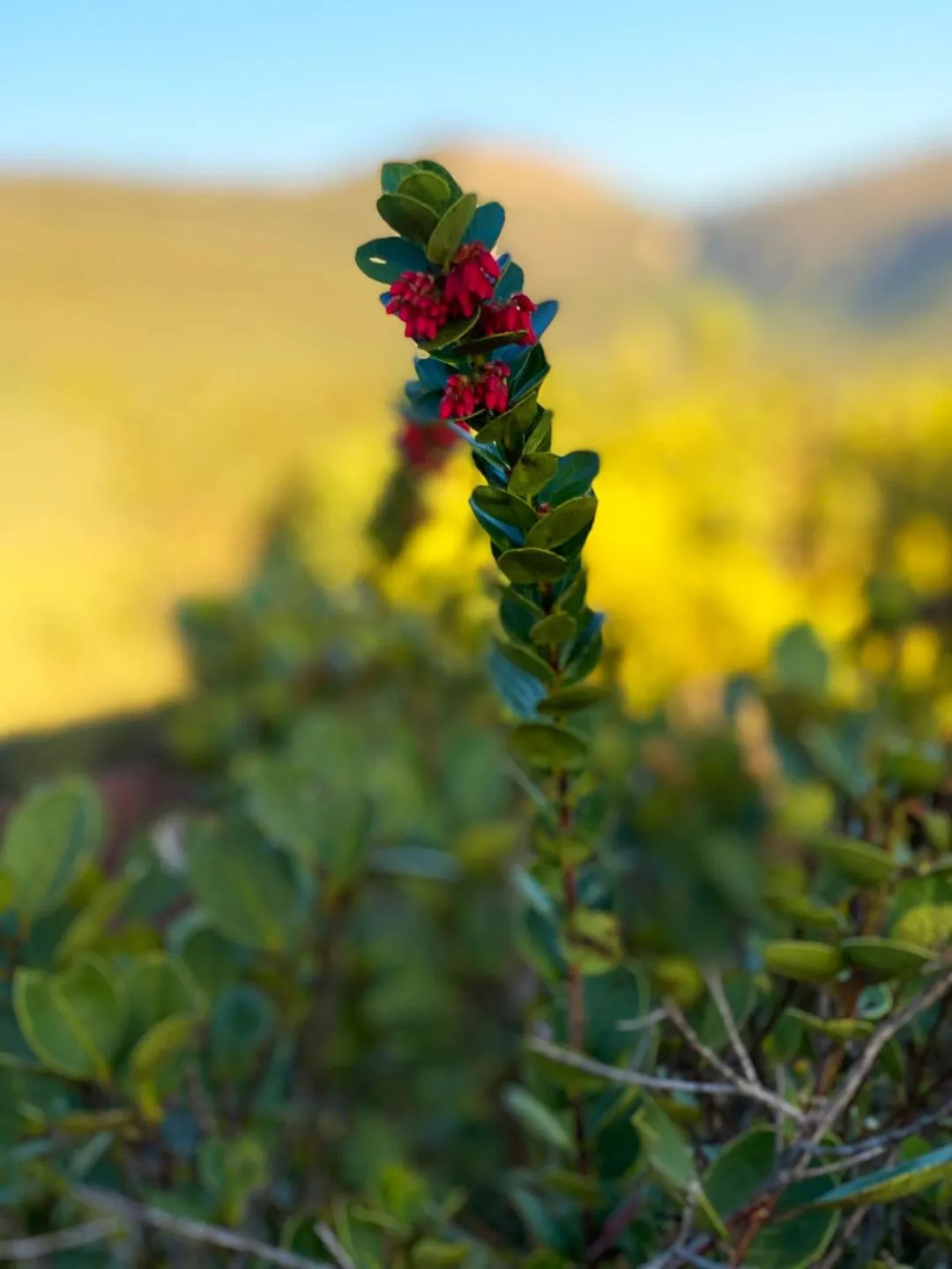 Natural landscape in Pousada Pé do Morro