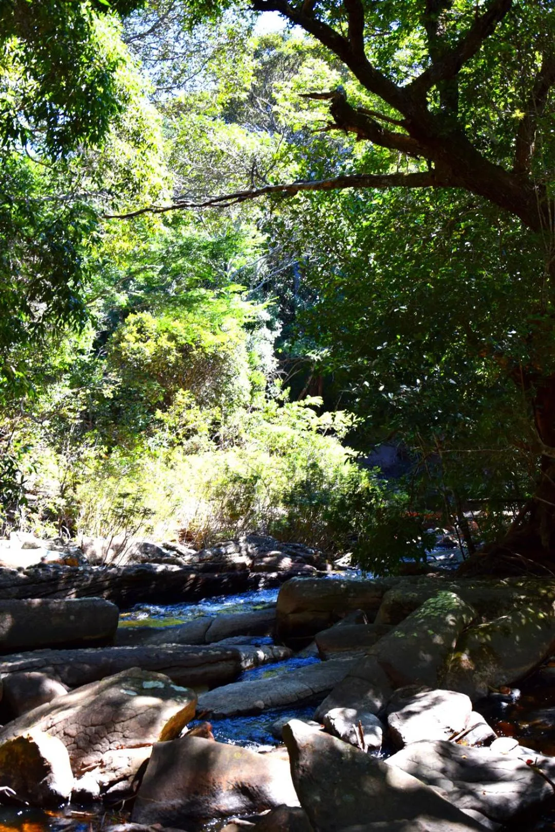 Natural landscape in Pousada Pé do Morro