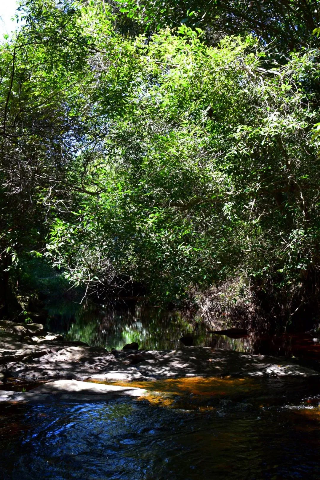 Natural landscape in Pousada Pé do Morro