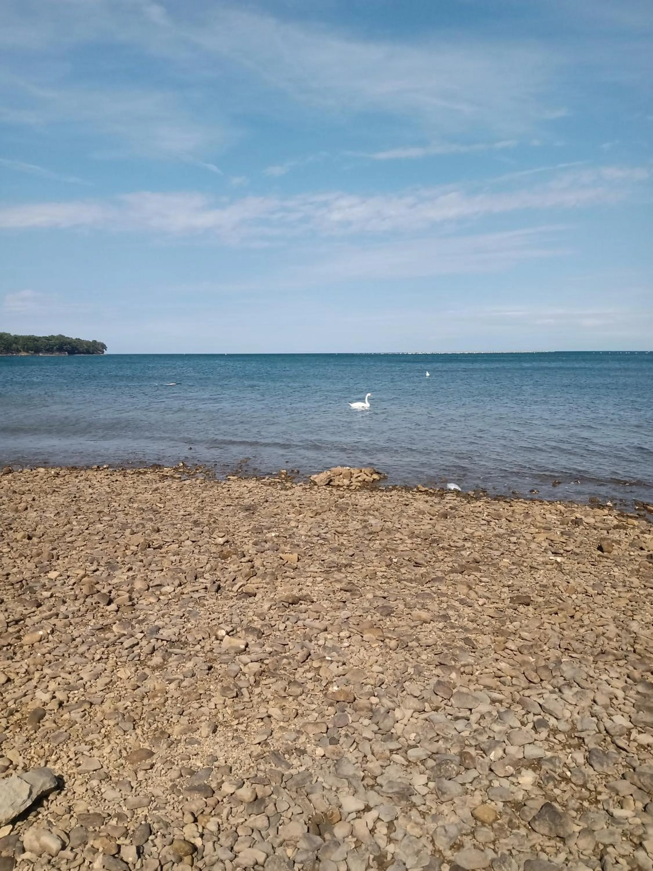 Natural landscape in Appartamento Nerio