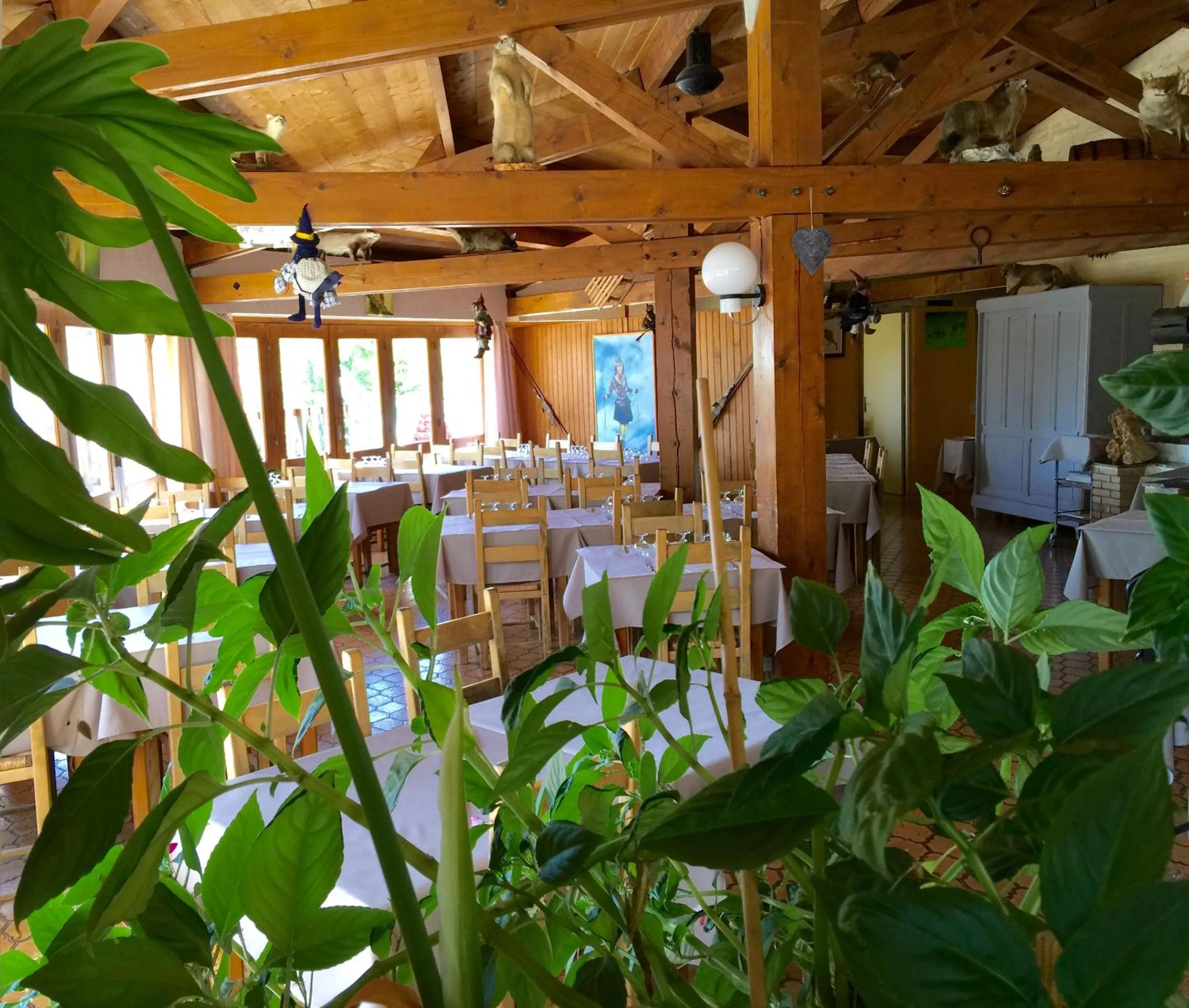 Restaurant/places to eat in Le Sestriere