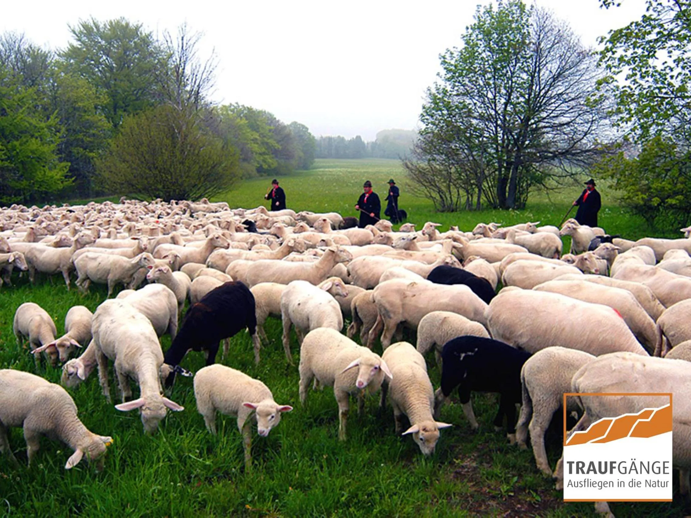 Hiking in Hotel Garni in der Breite