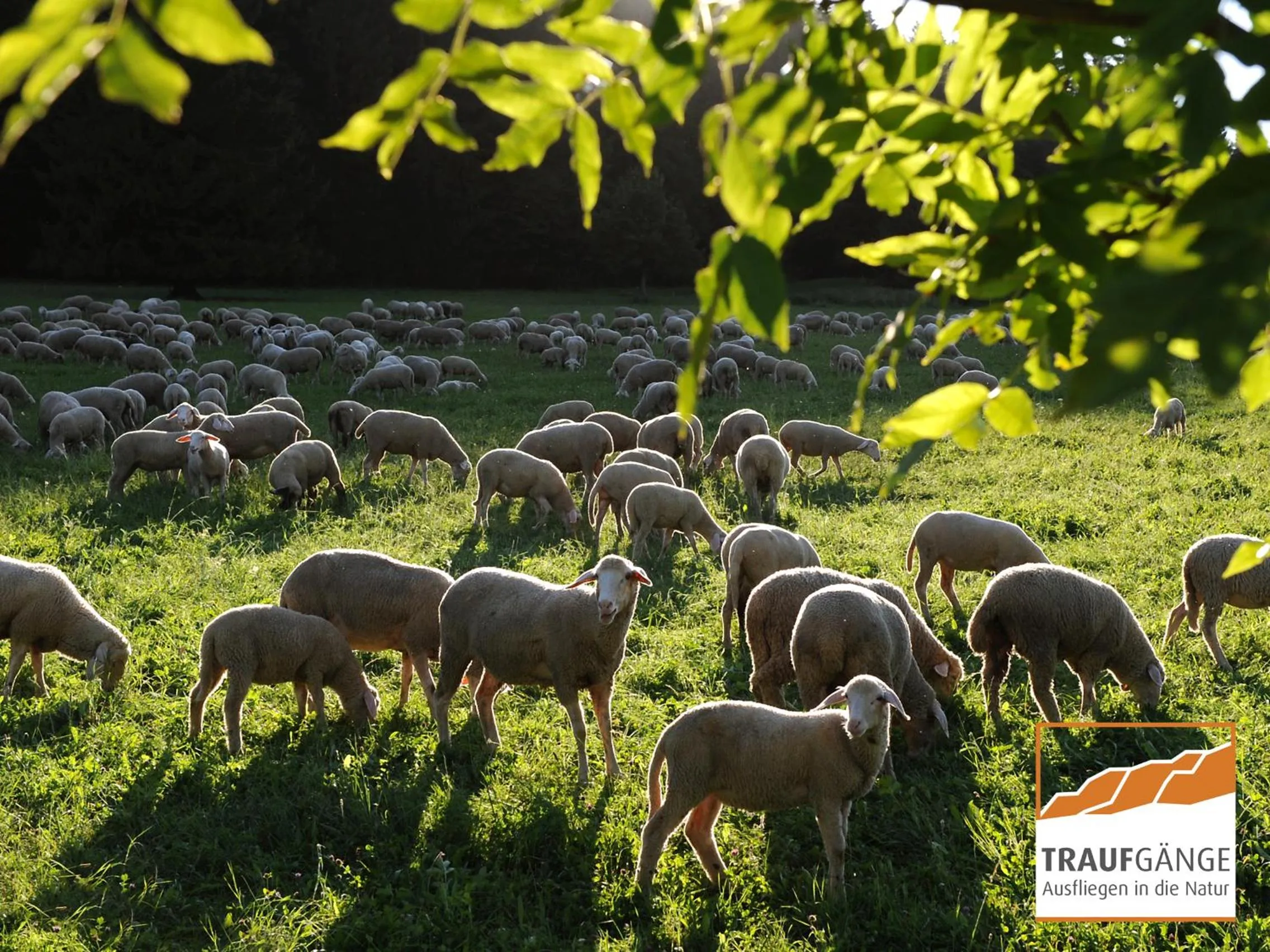 Hiking in Hotel Garni in der Breite
