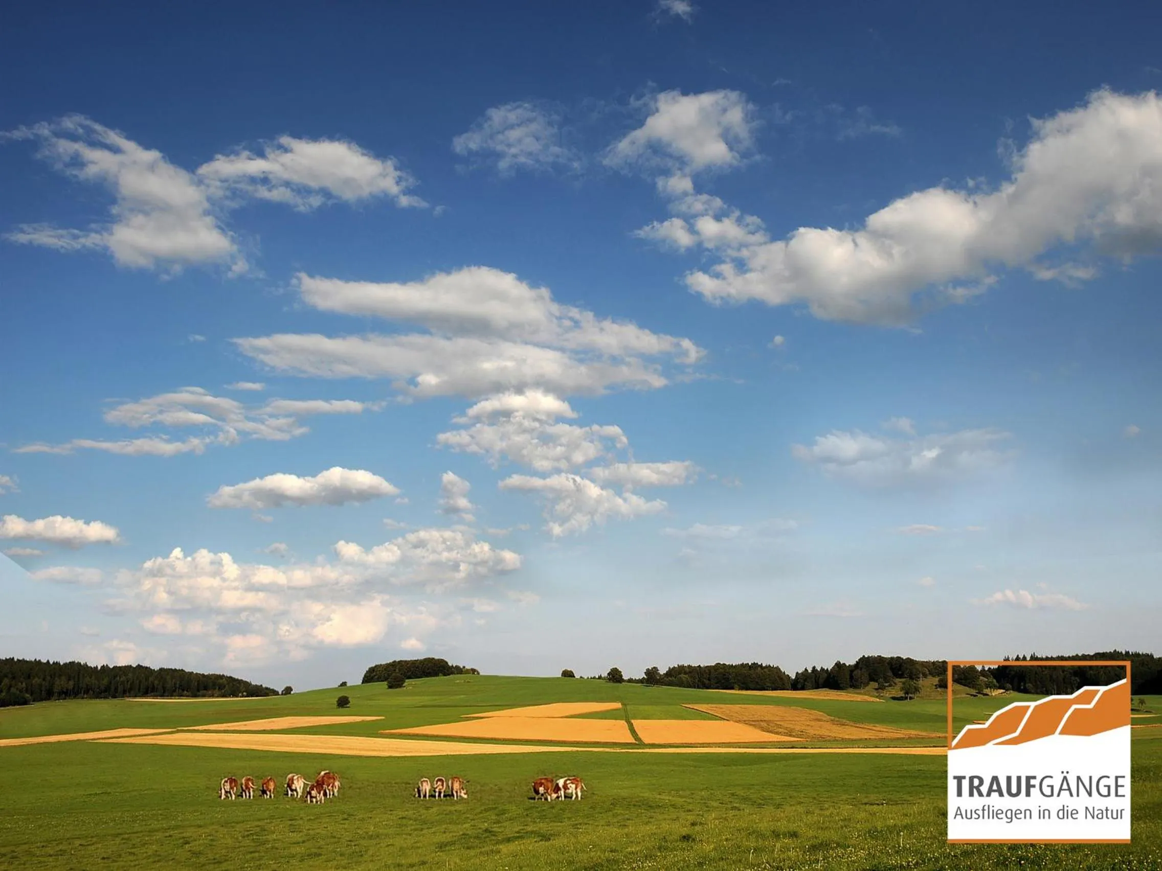 Hiking in Hotel Garni in der Breite