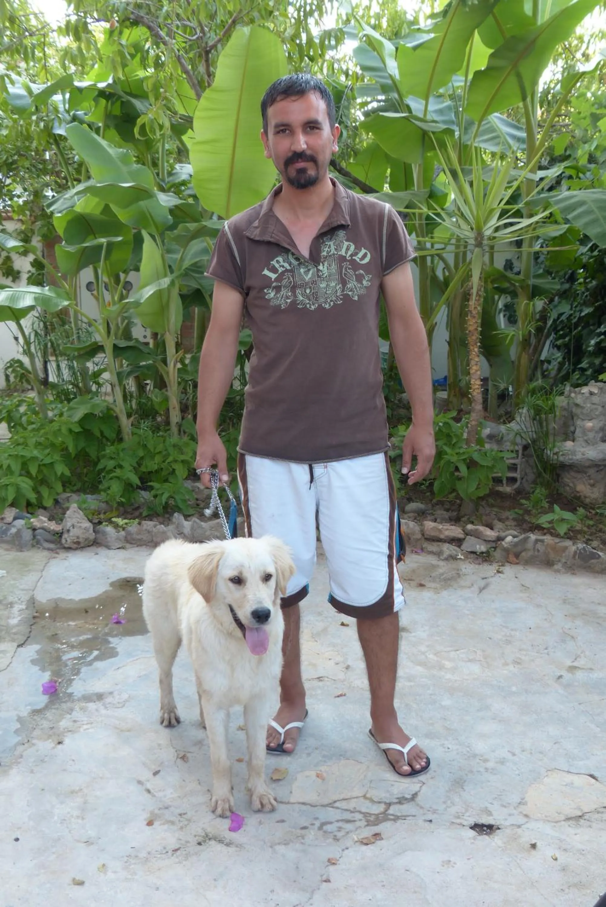 Garden in Yakut Apart Hotel