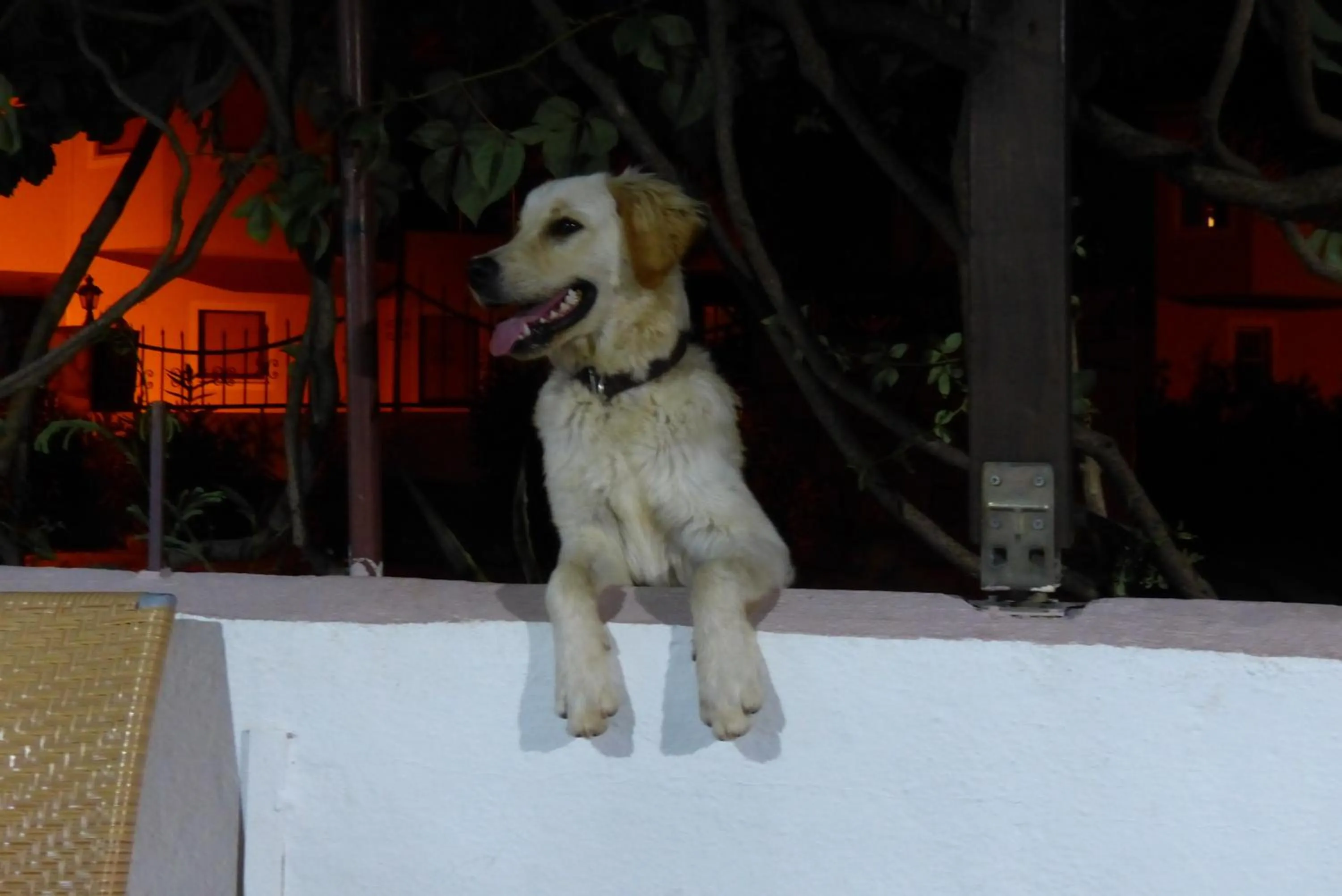 Other in Yakut Apart Hotel