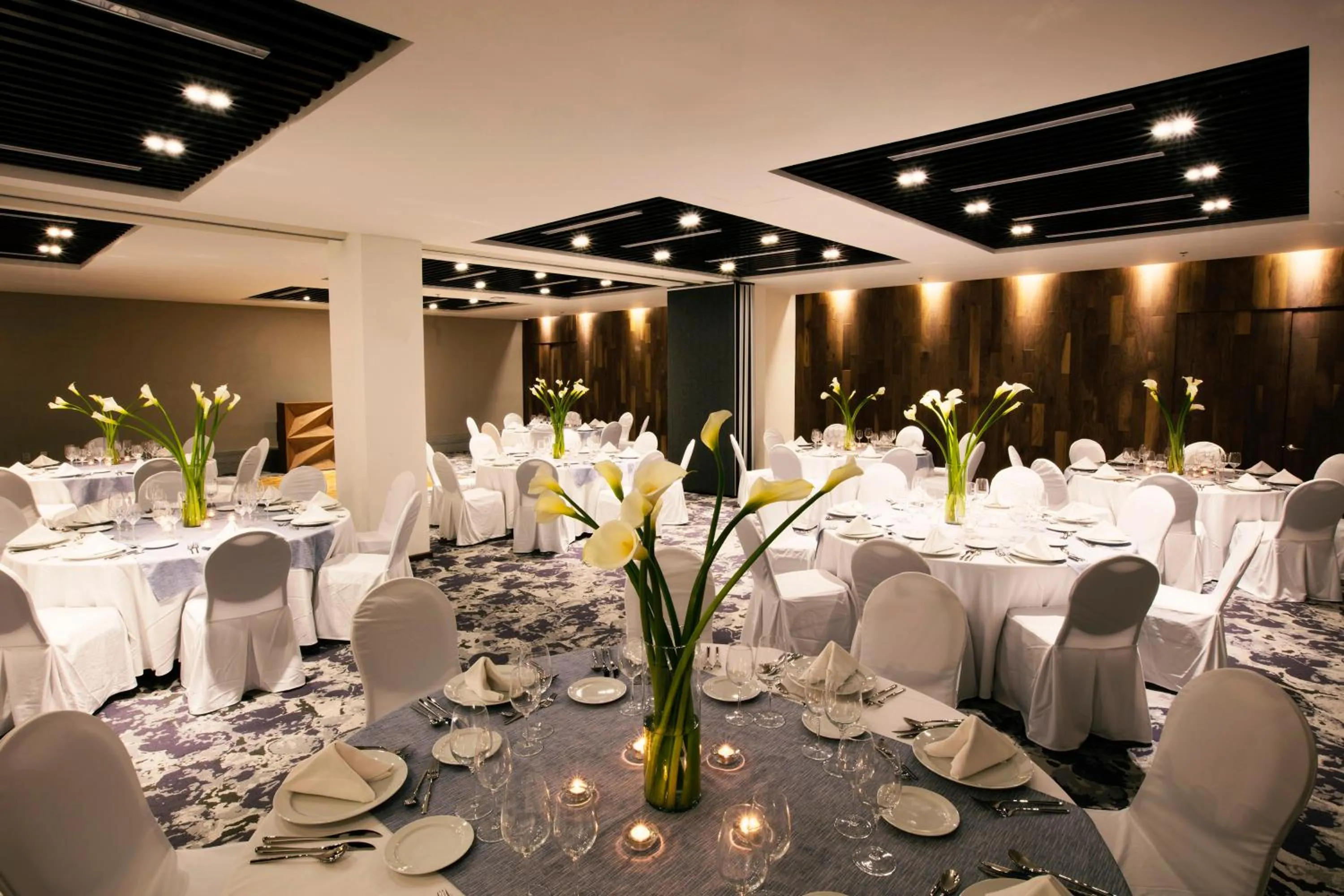 Banquet/Function facilities in Krystal Grand Suites Insurgentes