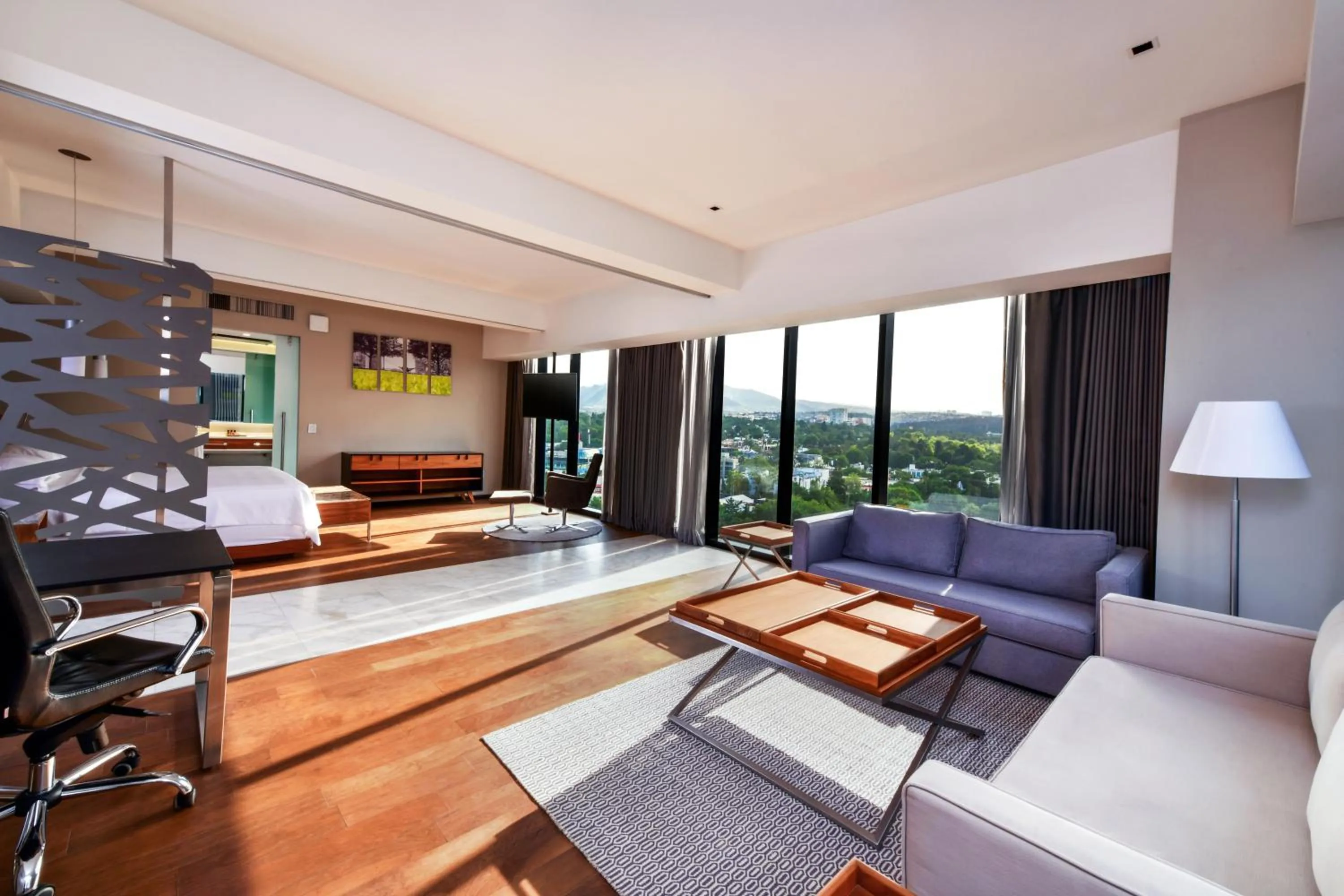 Area and facilities in Krystal Grand Suites Insurgentes