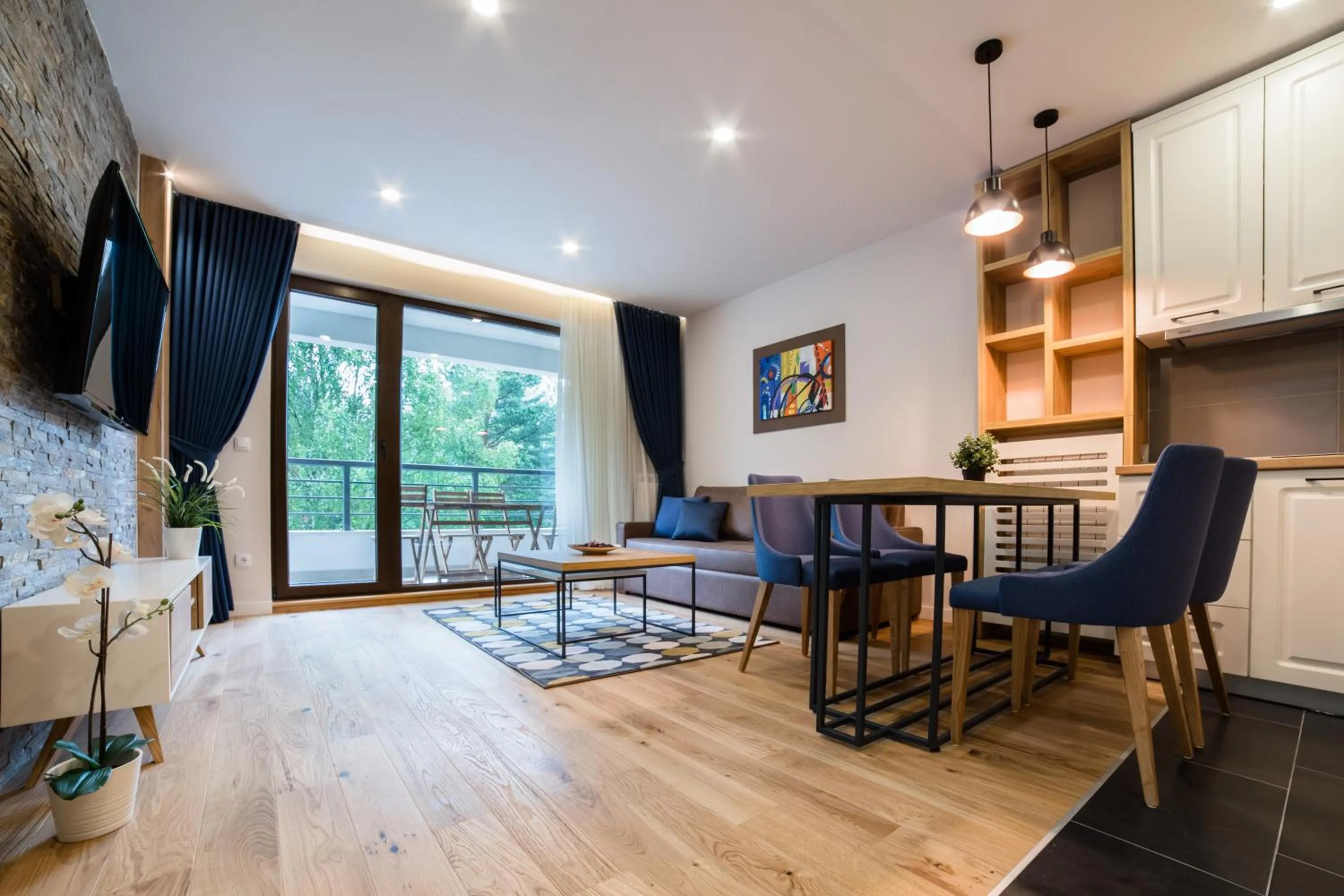 TV and multimedia in Vip Casa Club Zlatibor