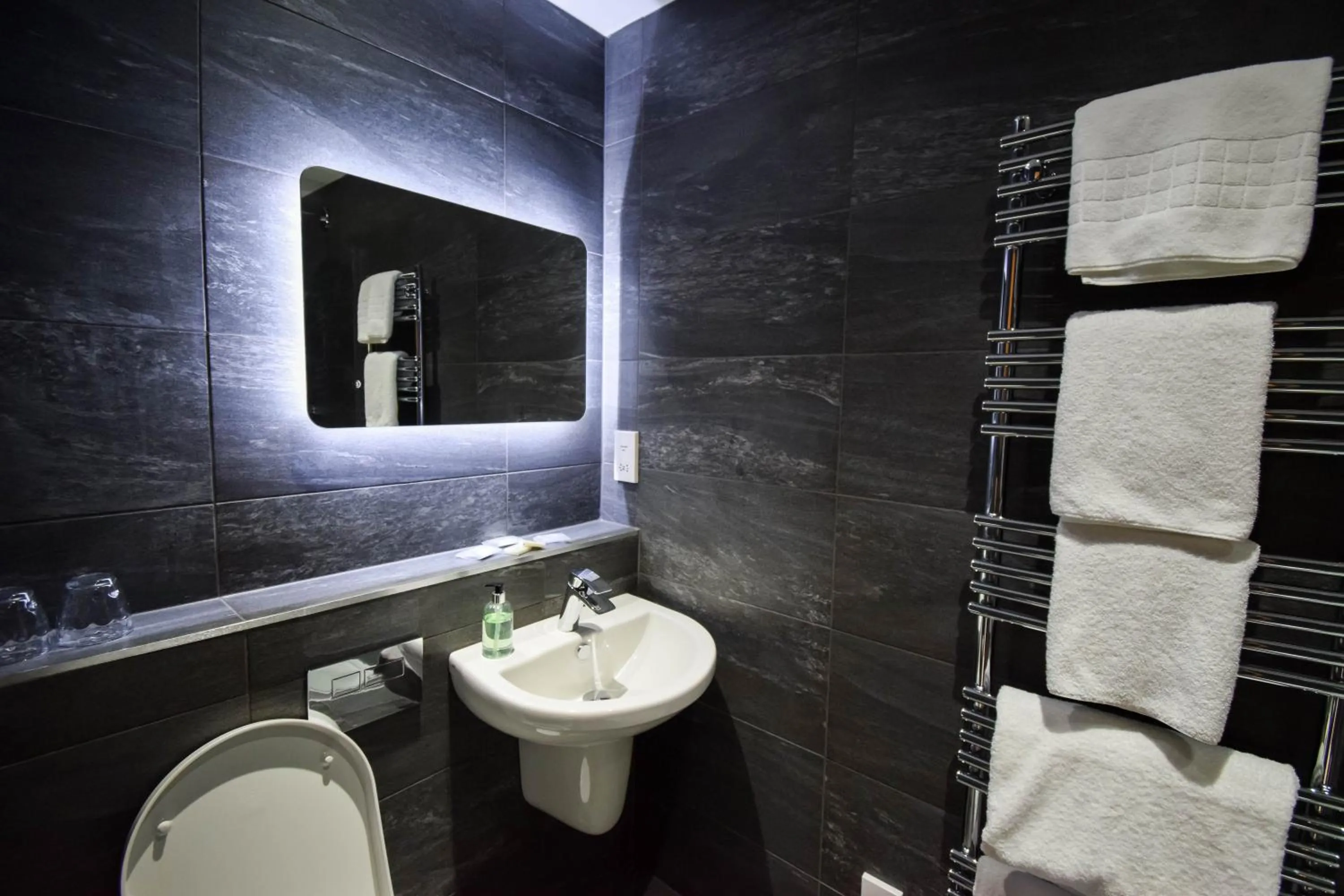 Toilet in Craigmhor Lodge & Courtyard