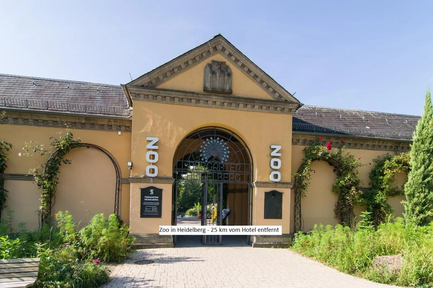 Activities in Hotel Häfner