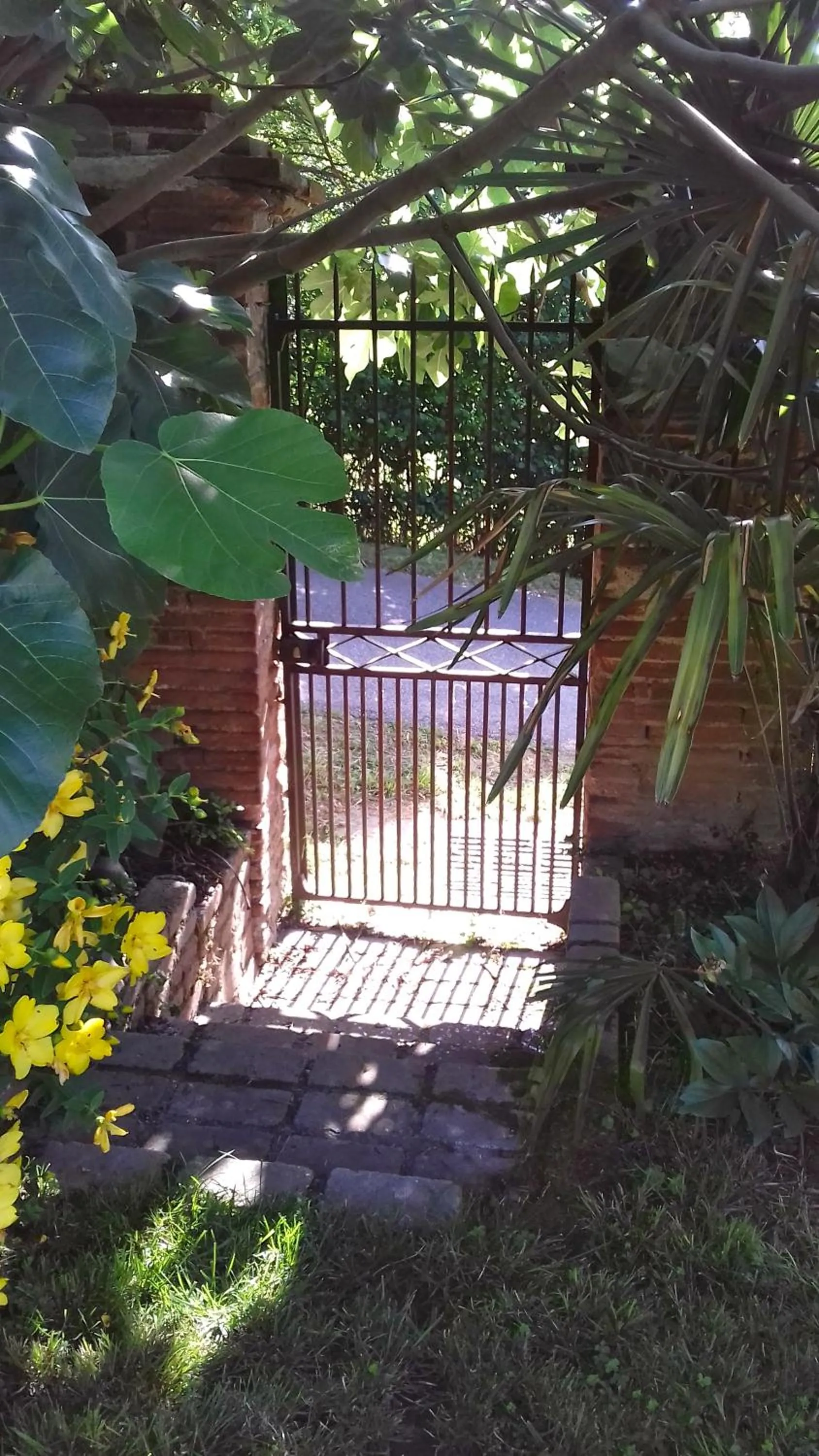 Garden in Ombre Rose