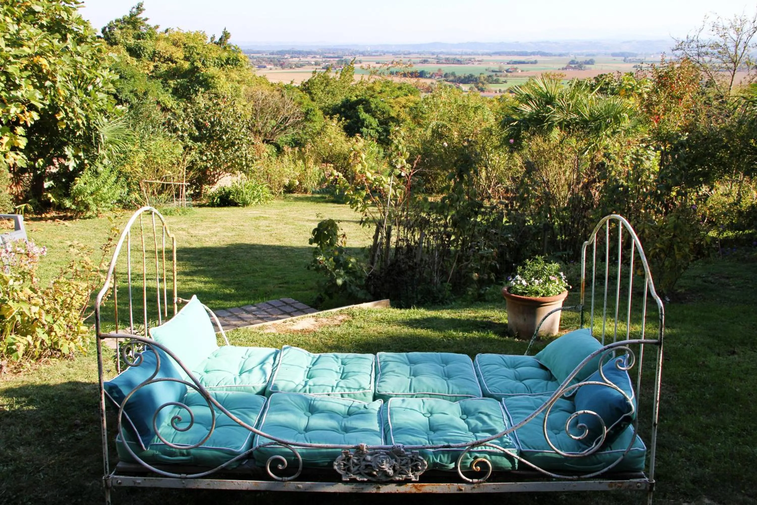 Garden in Ombre Rose