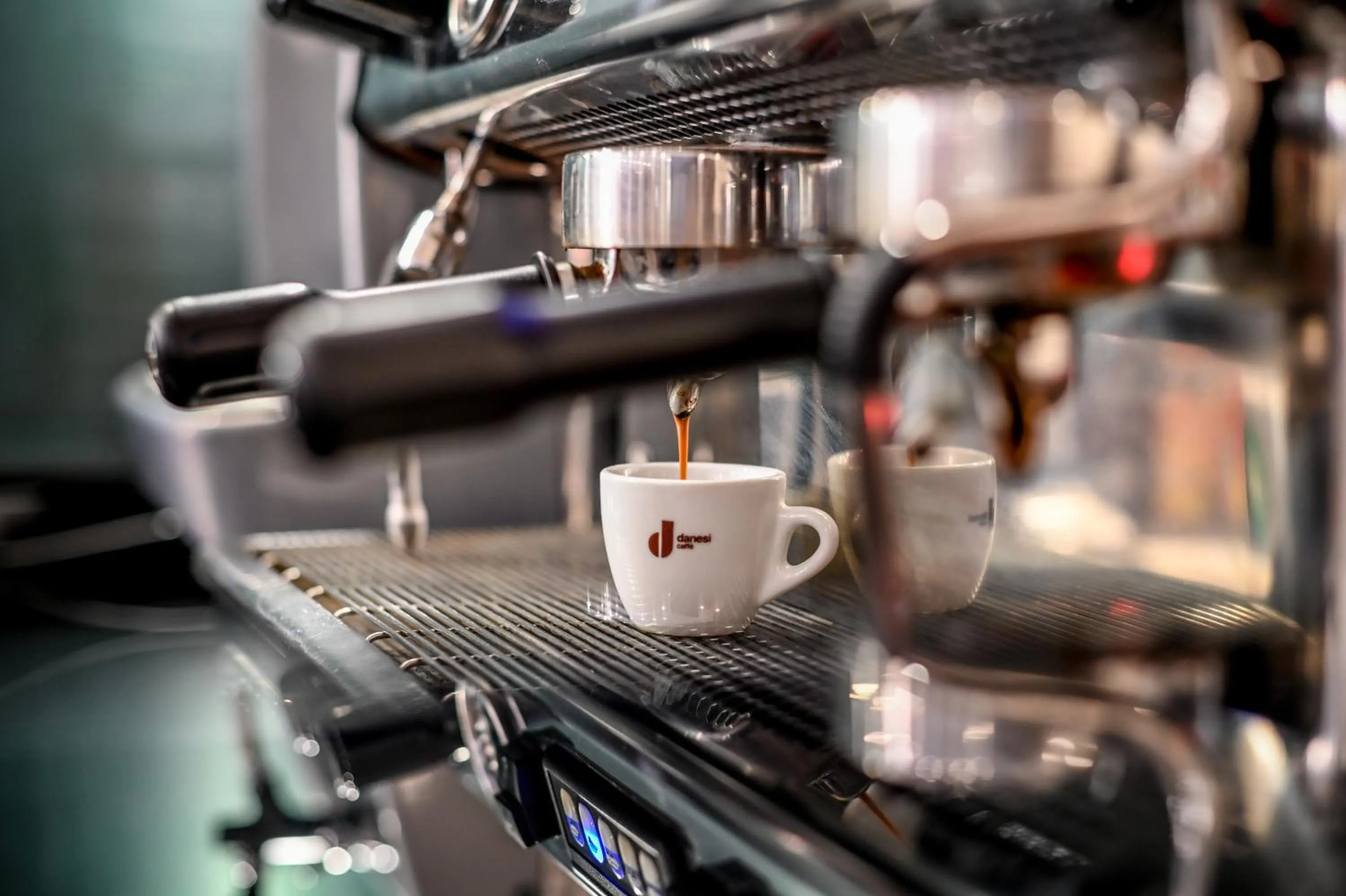 Lounge or bar in Roma Domus Hotel