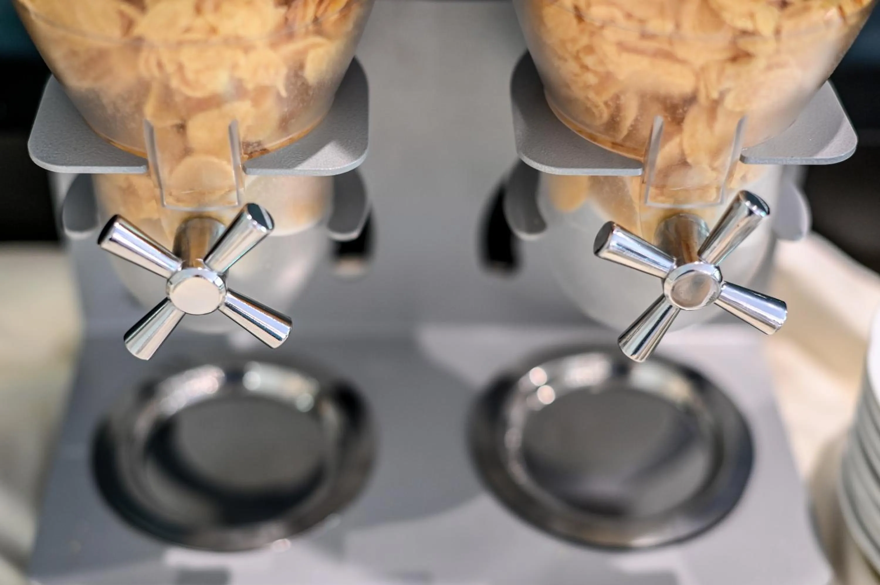 Food and drinks in Roma Domus Hotel