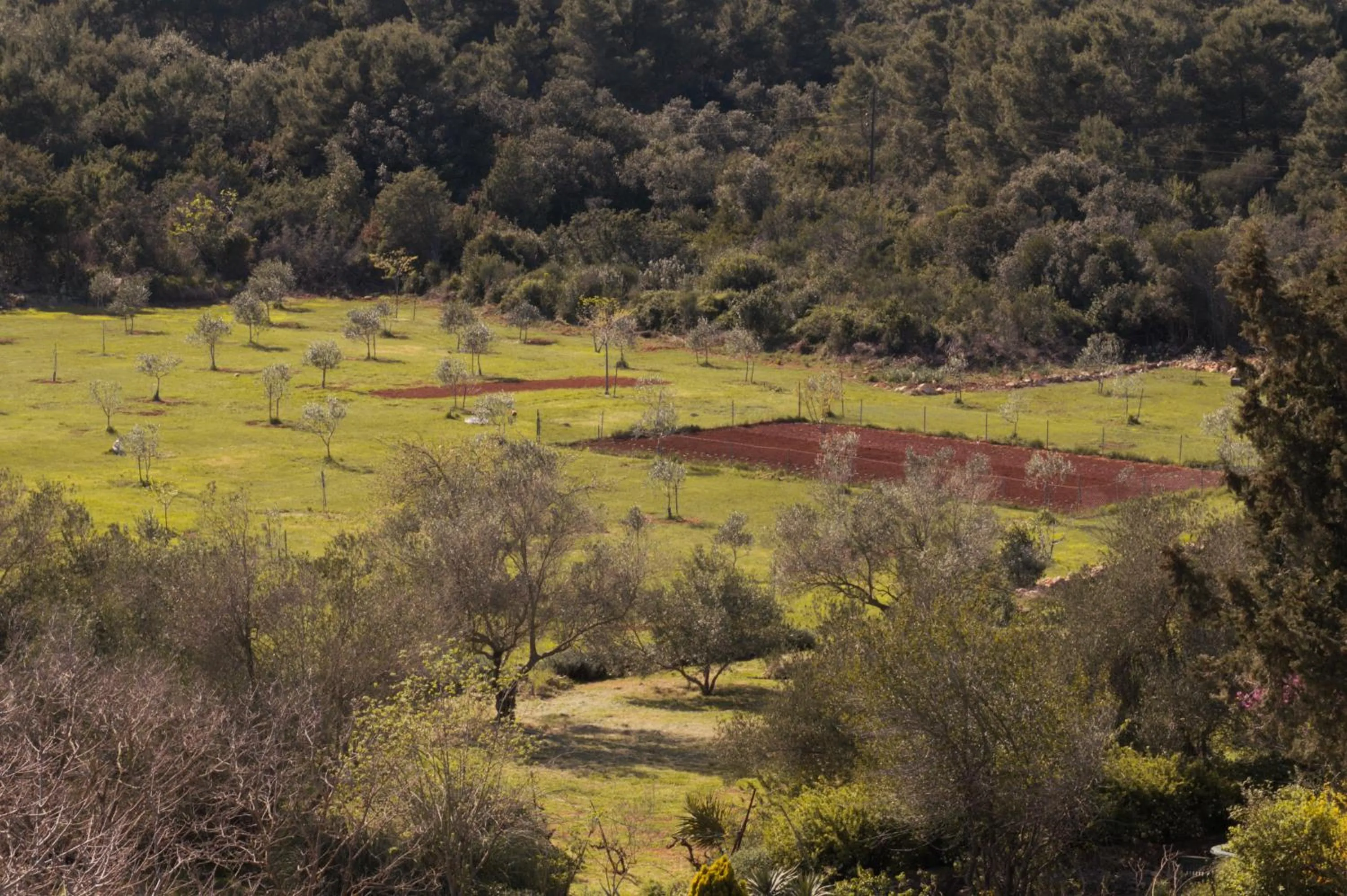 Natural landscape in Hotel Stari Dvor