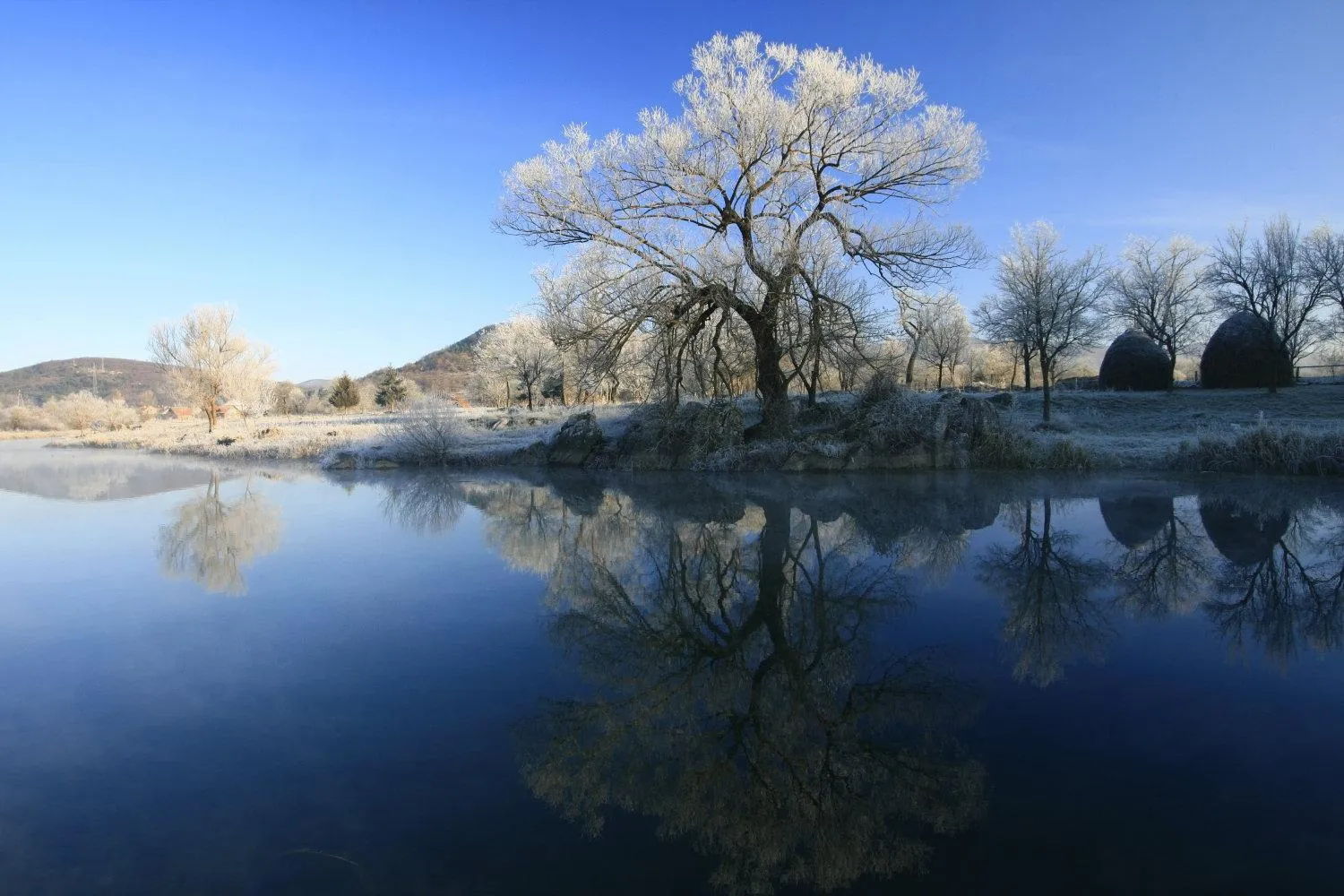 Day in Hotel Park Exclusive