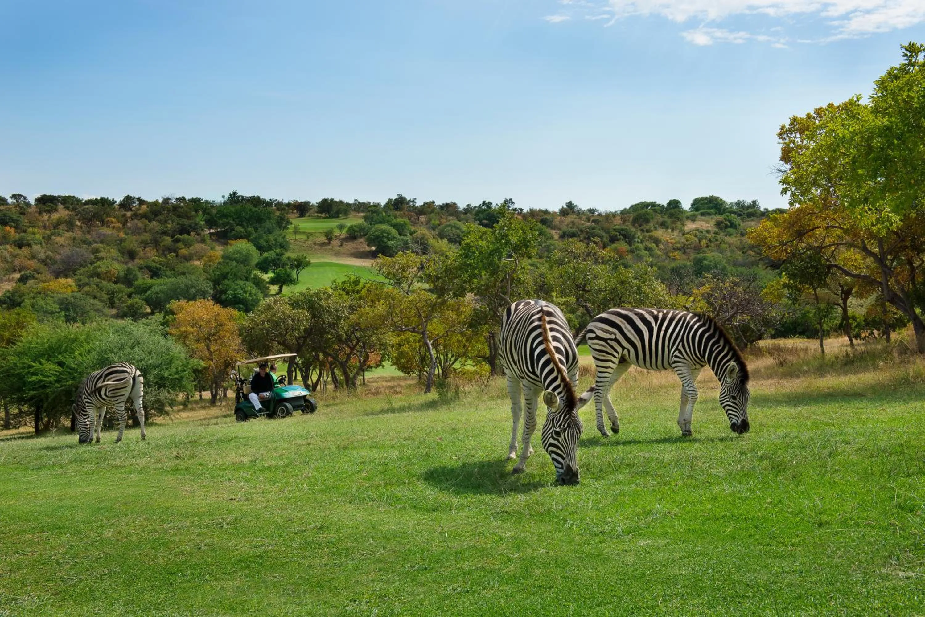 Golfcourse in Seasons Golf, Leisure, Spa