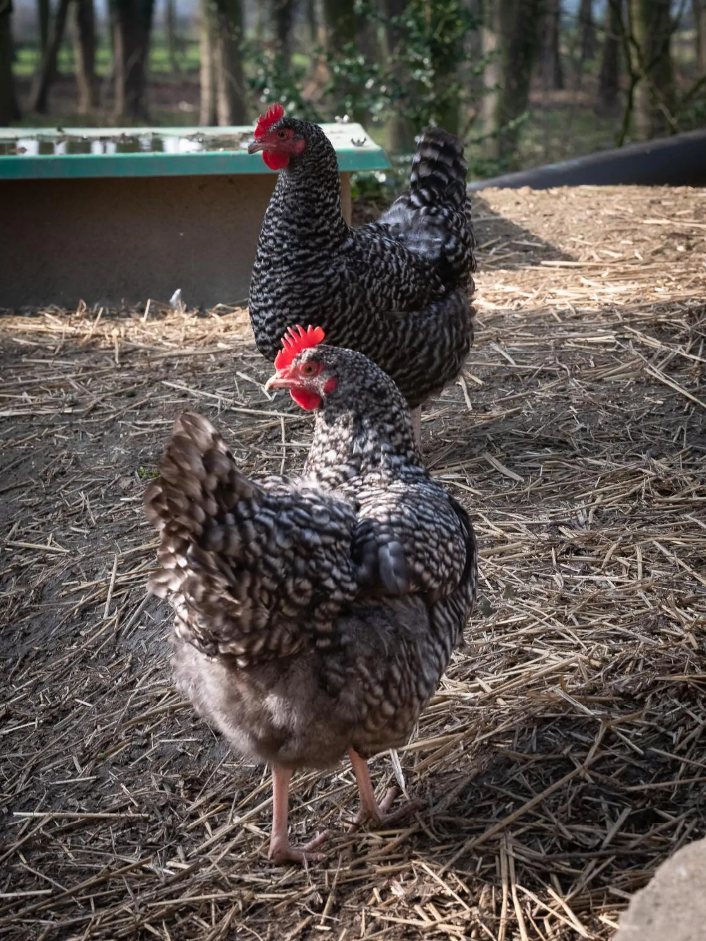 Le Château De Beaulieu