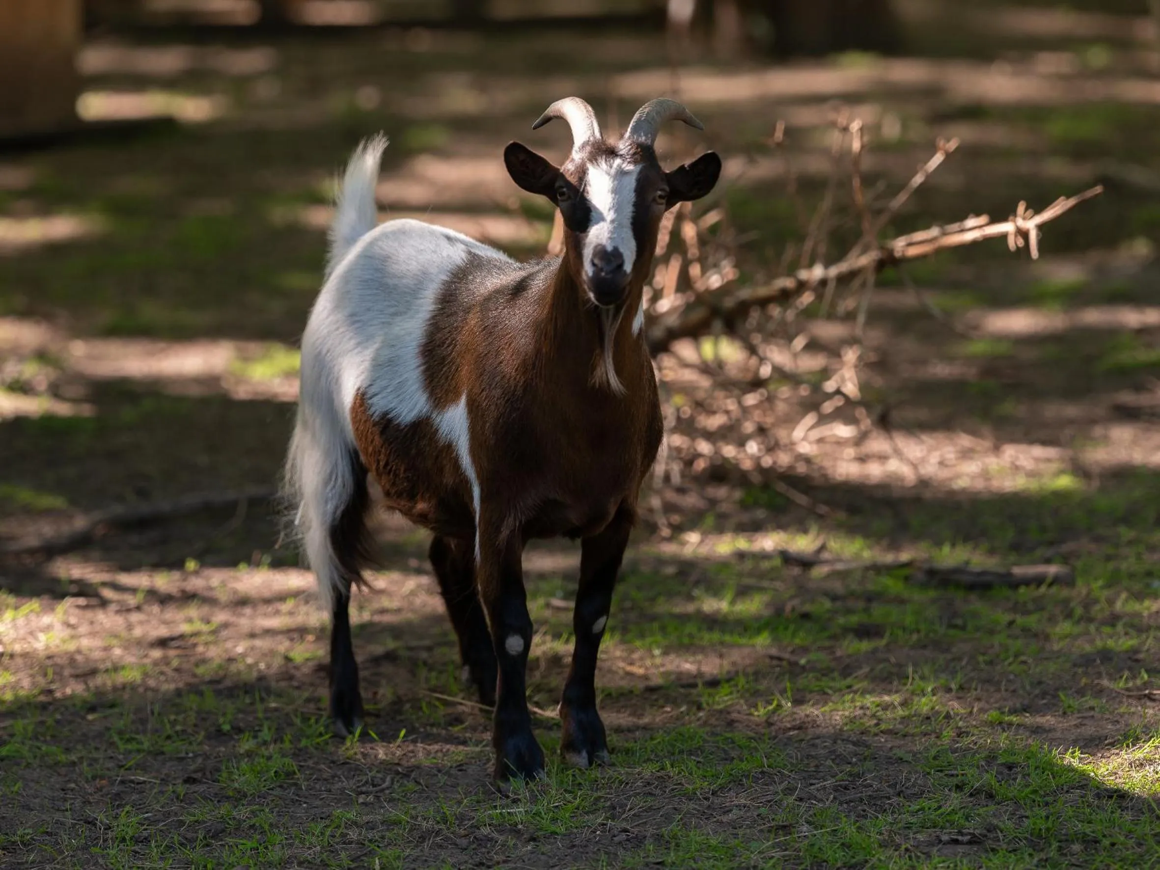Le Château De Beaulieu