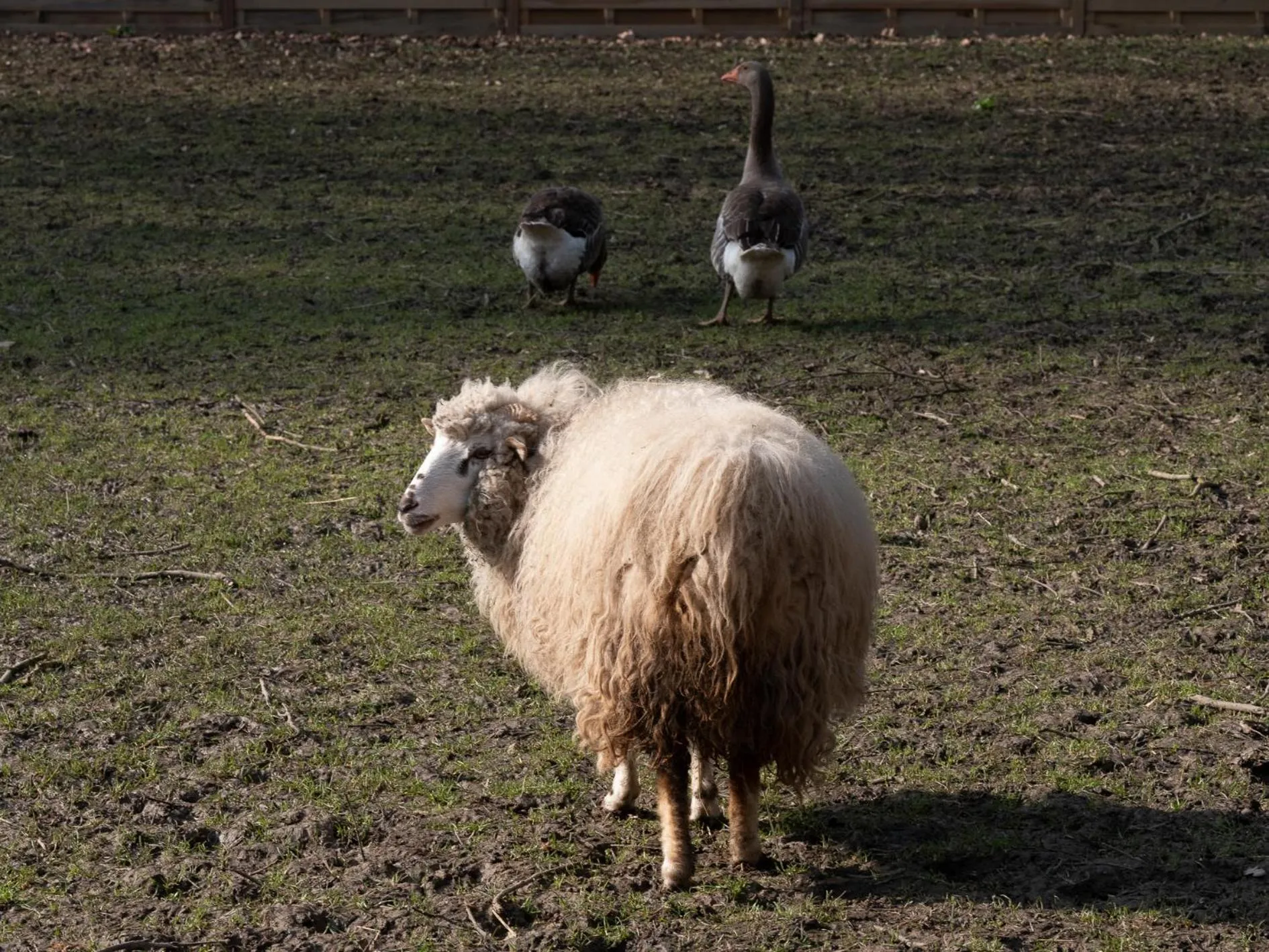 Le Château De Beaulieu