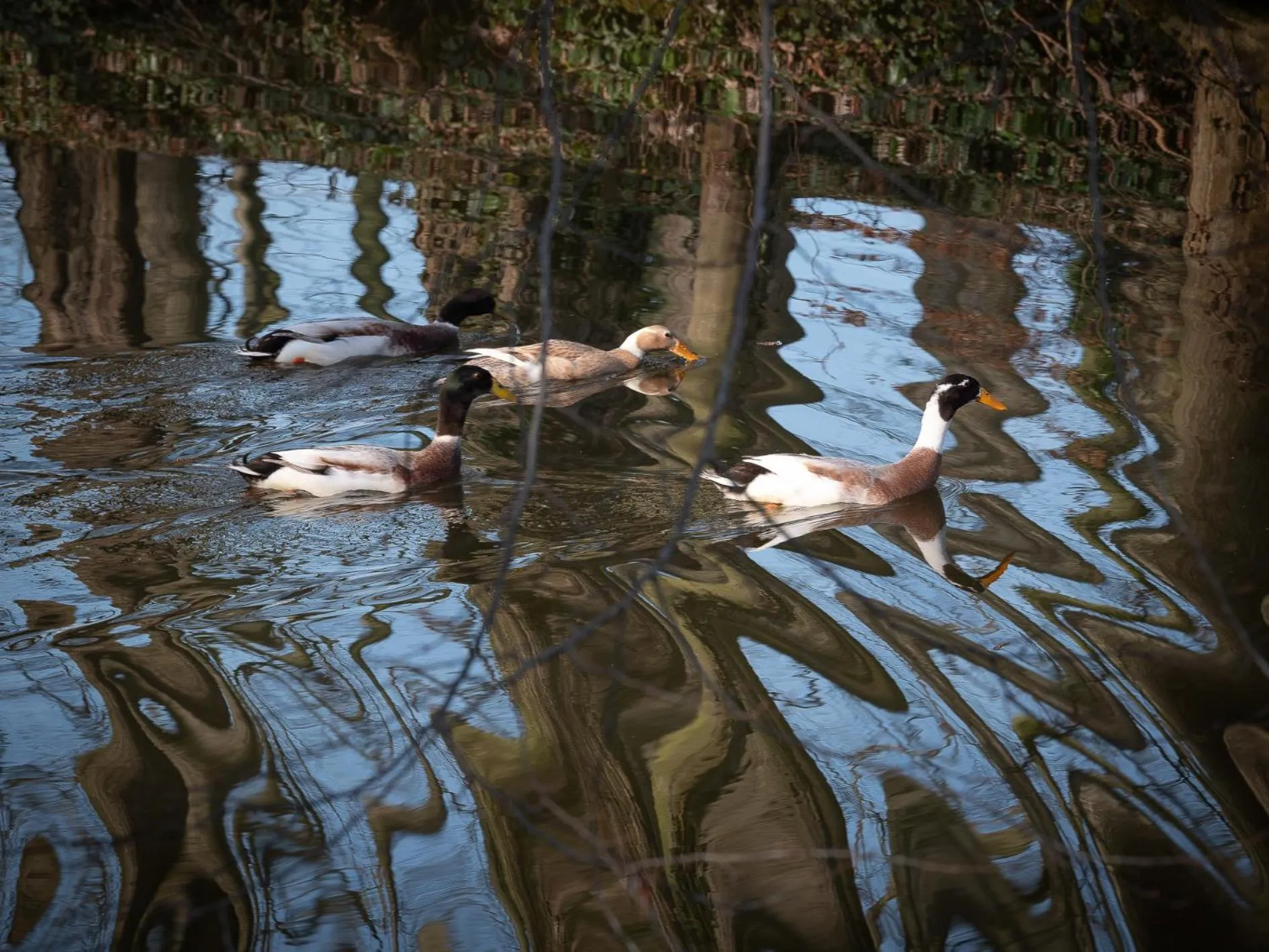 Le Château De Beaulieu