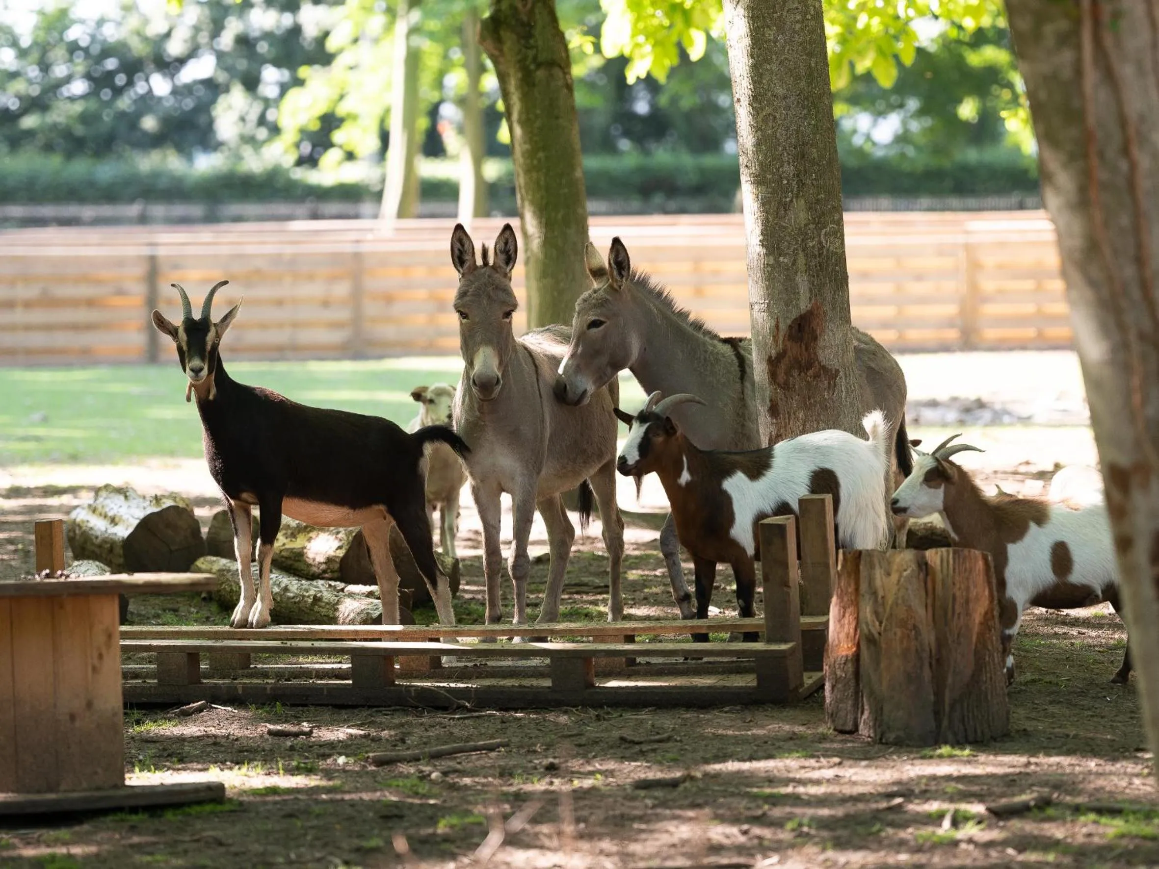 Le Château De Beaulieu