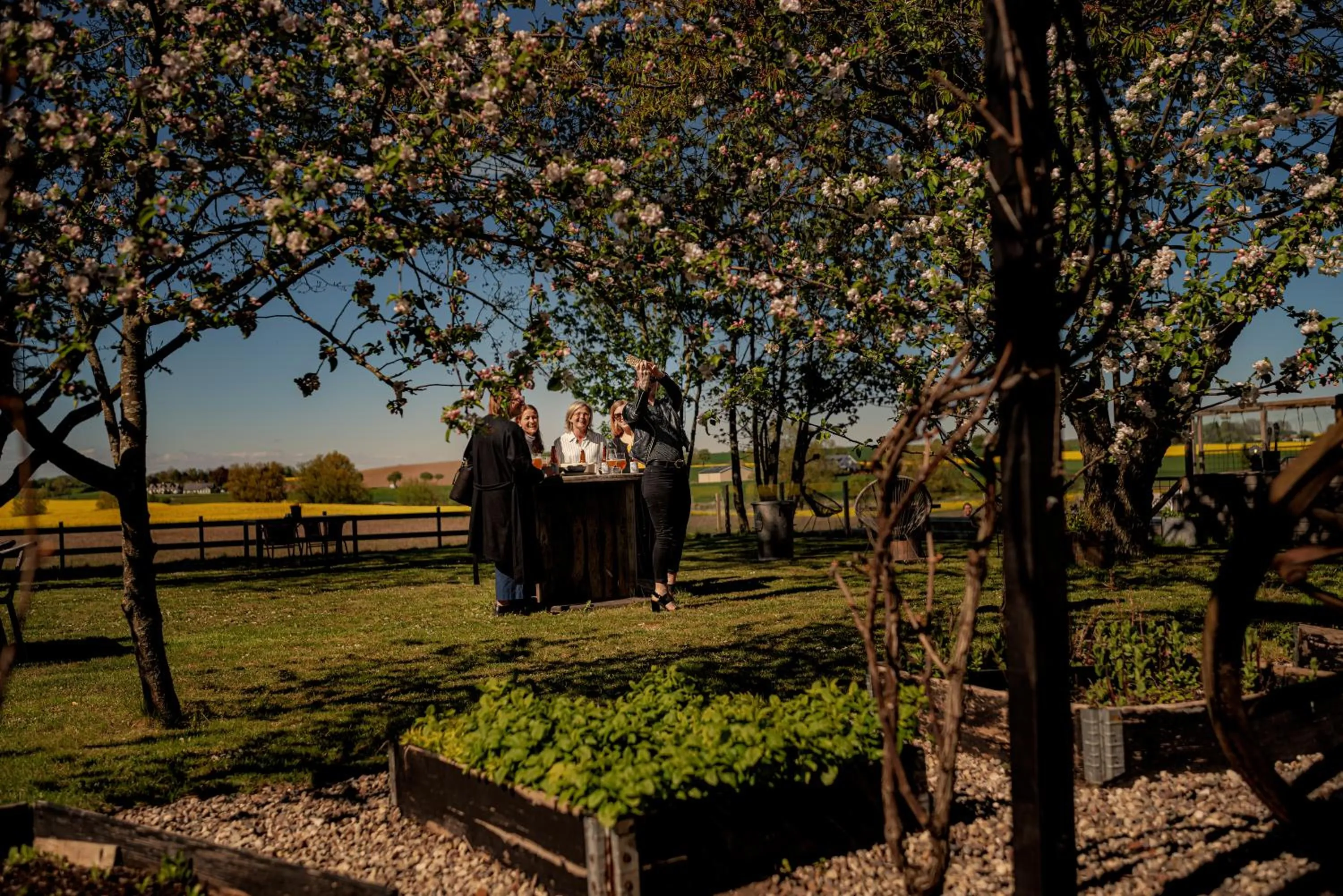 Garden in Hotell Mossbylund