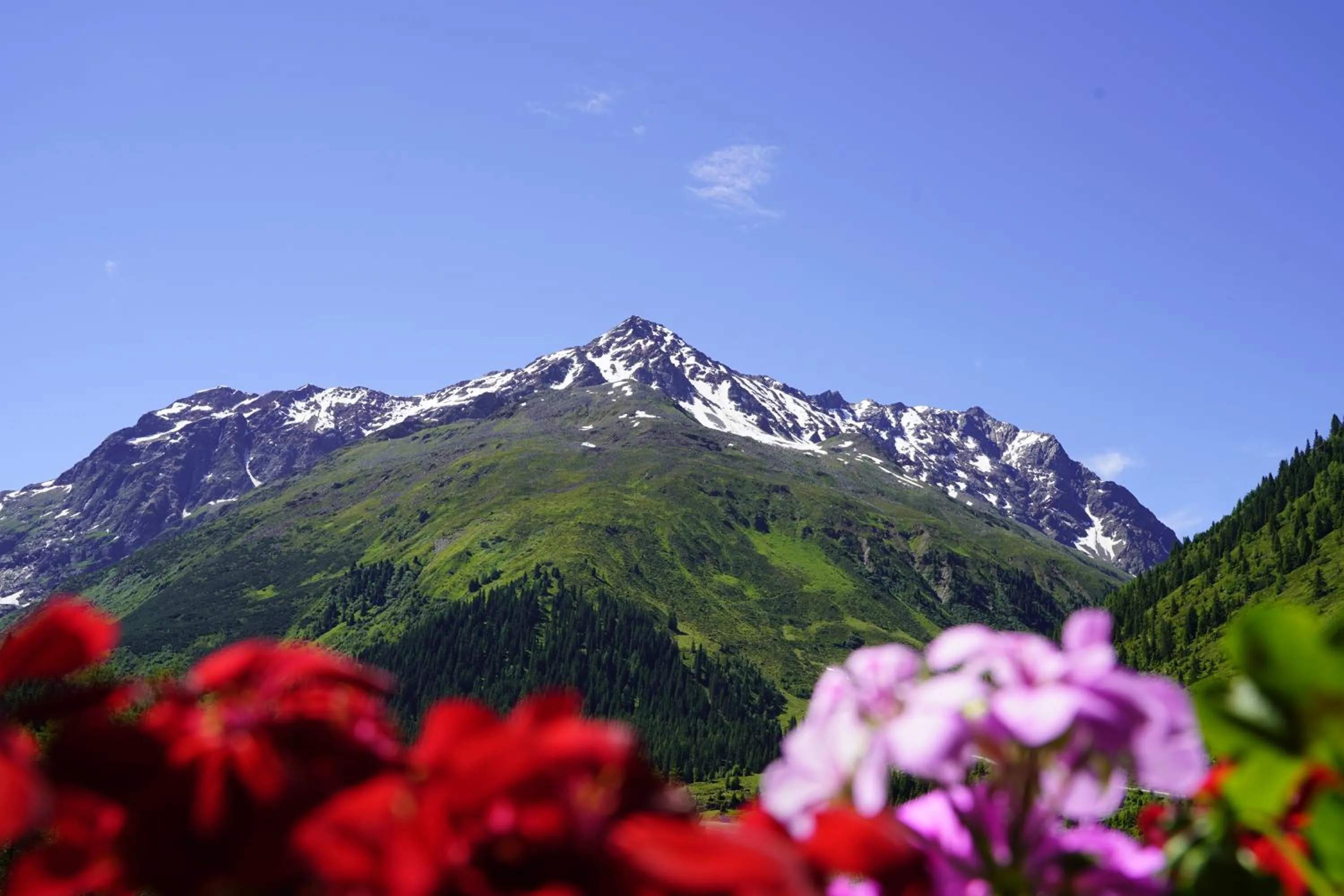 Summer in Hotel Mittagskogel Pitztal