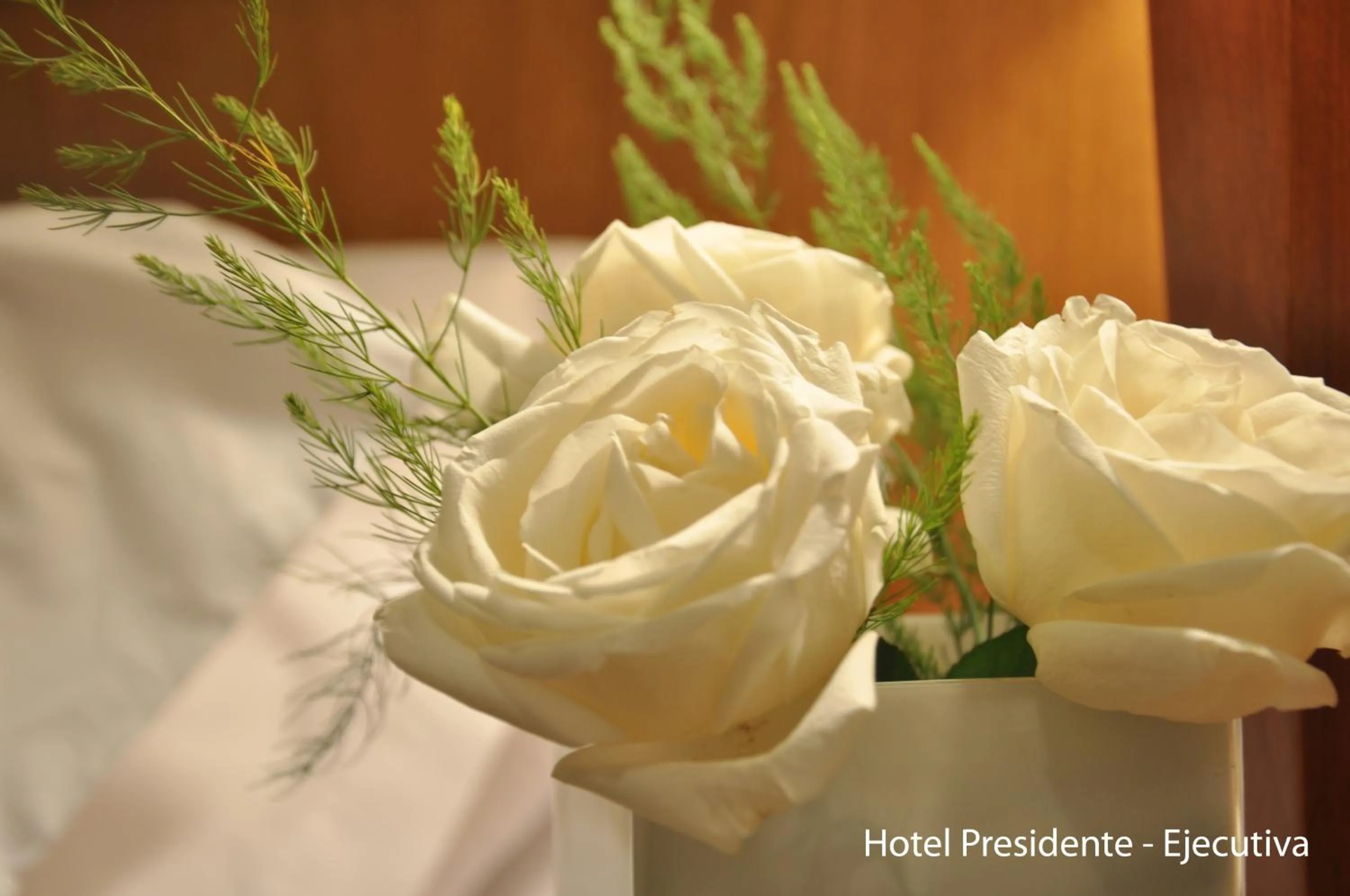 Other in Hotel Solans Presidente