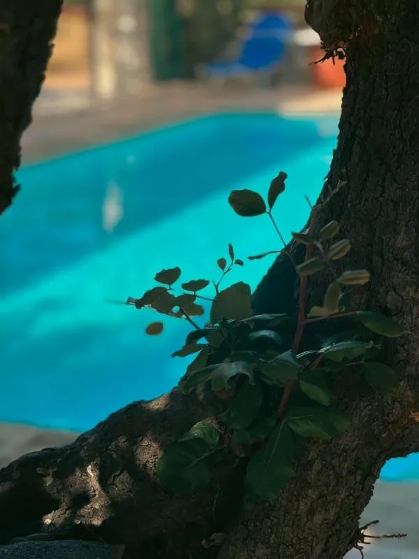 Ammoudara Beach Hotel Apartments