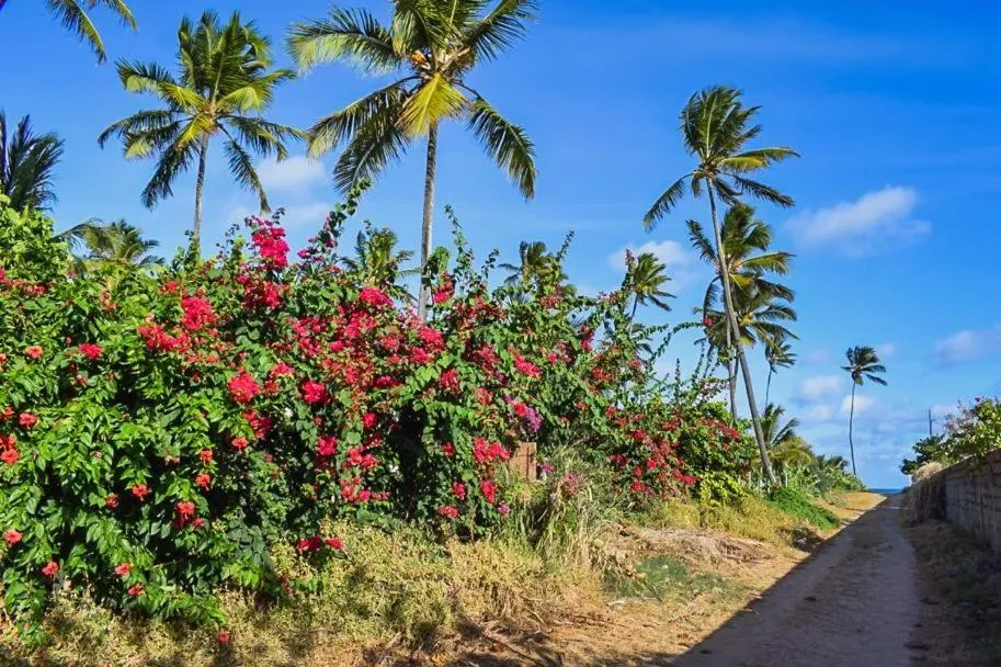 Pousada Recanto da Coruja