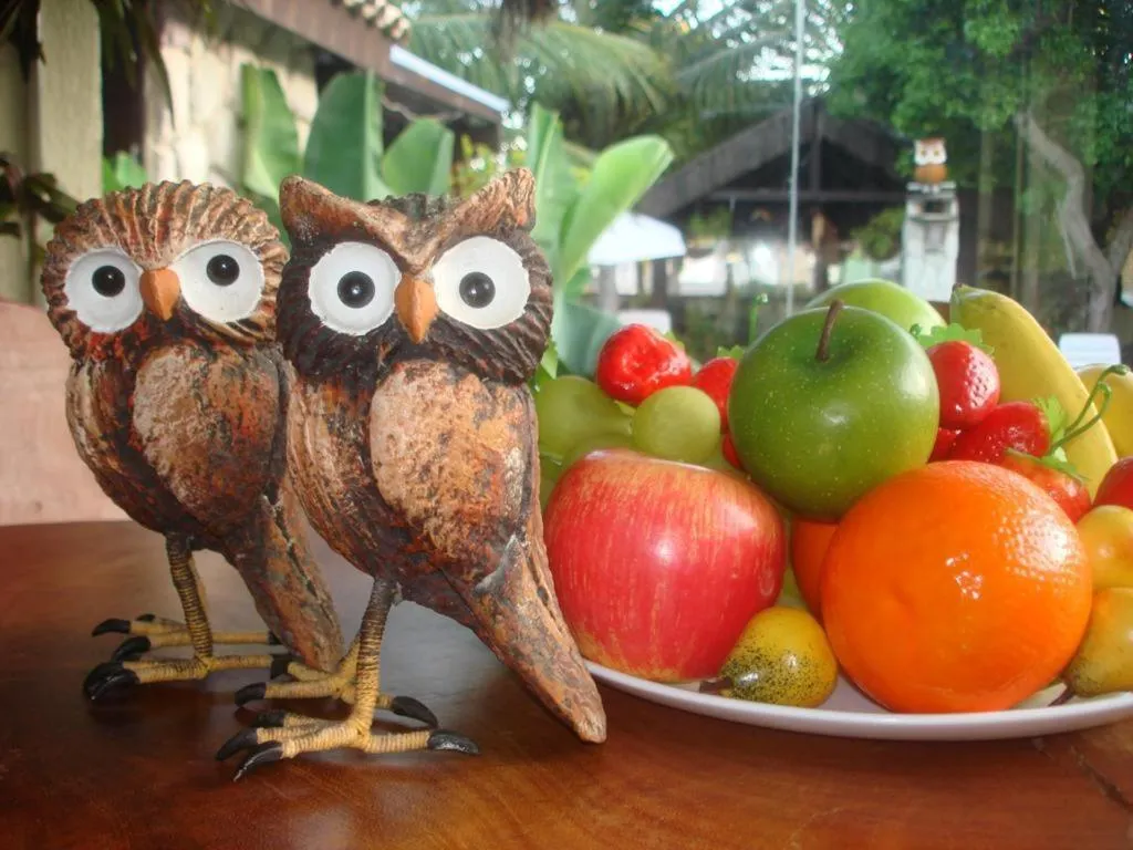 Pousada Recanto da Coruja