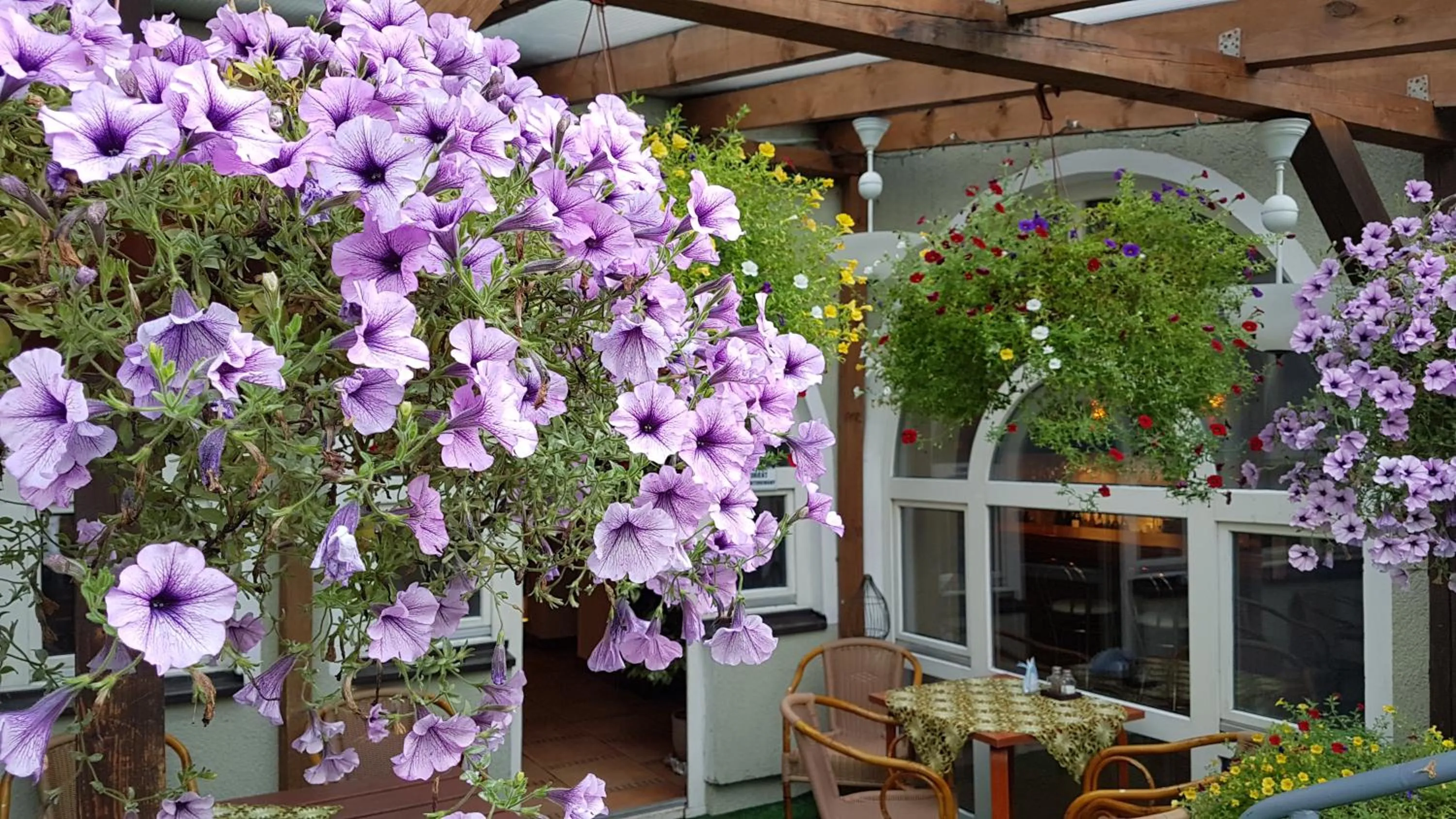 Balcony/Terrace in Centrum25
