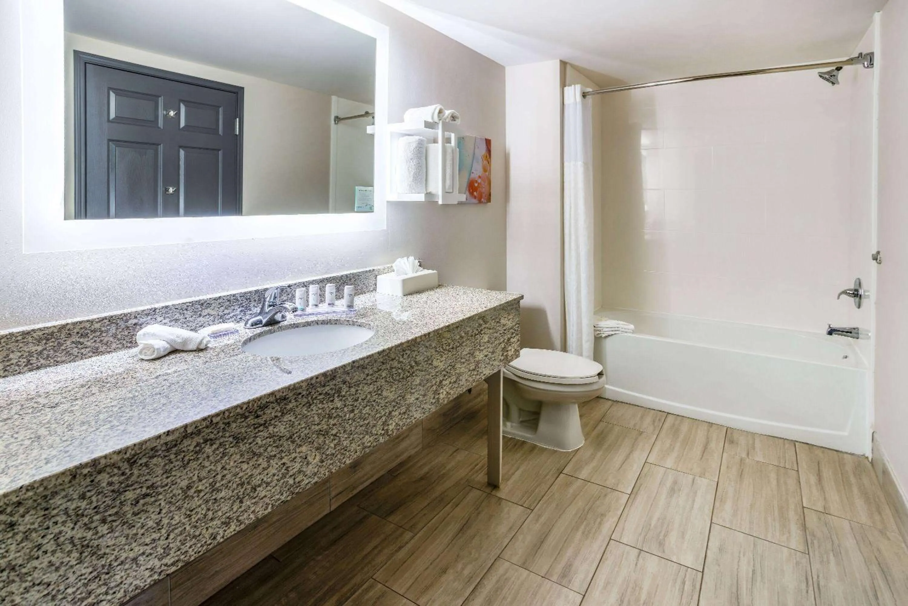 TV and multimedia in Wingate by Wyndham Atlanta Galleria/ Ballpark