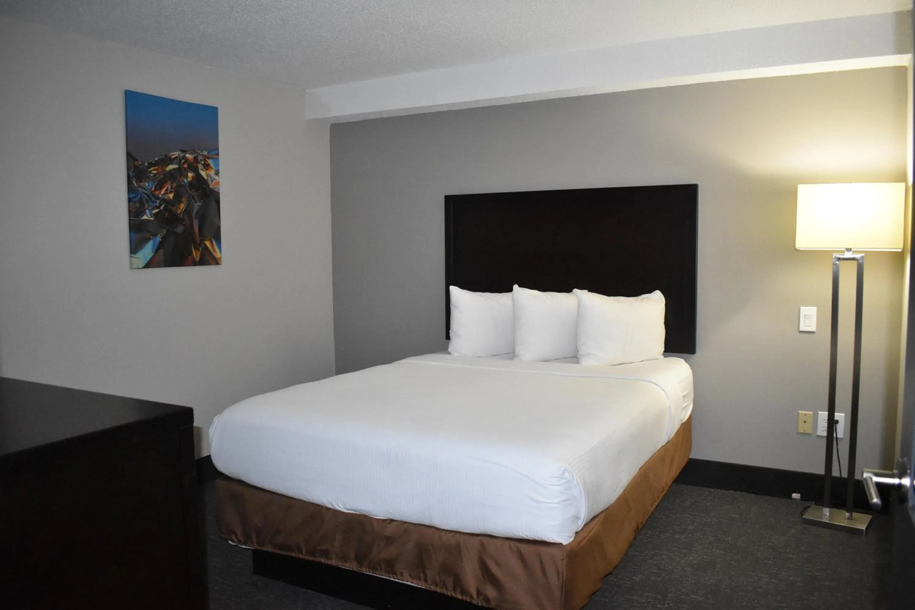 Bed in Wingate by Wyndham Atlanta Galleria/ Ballpark