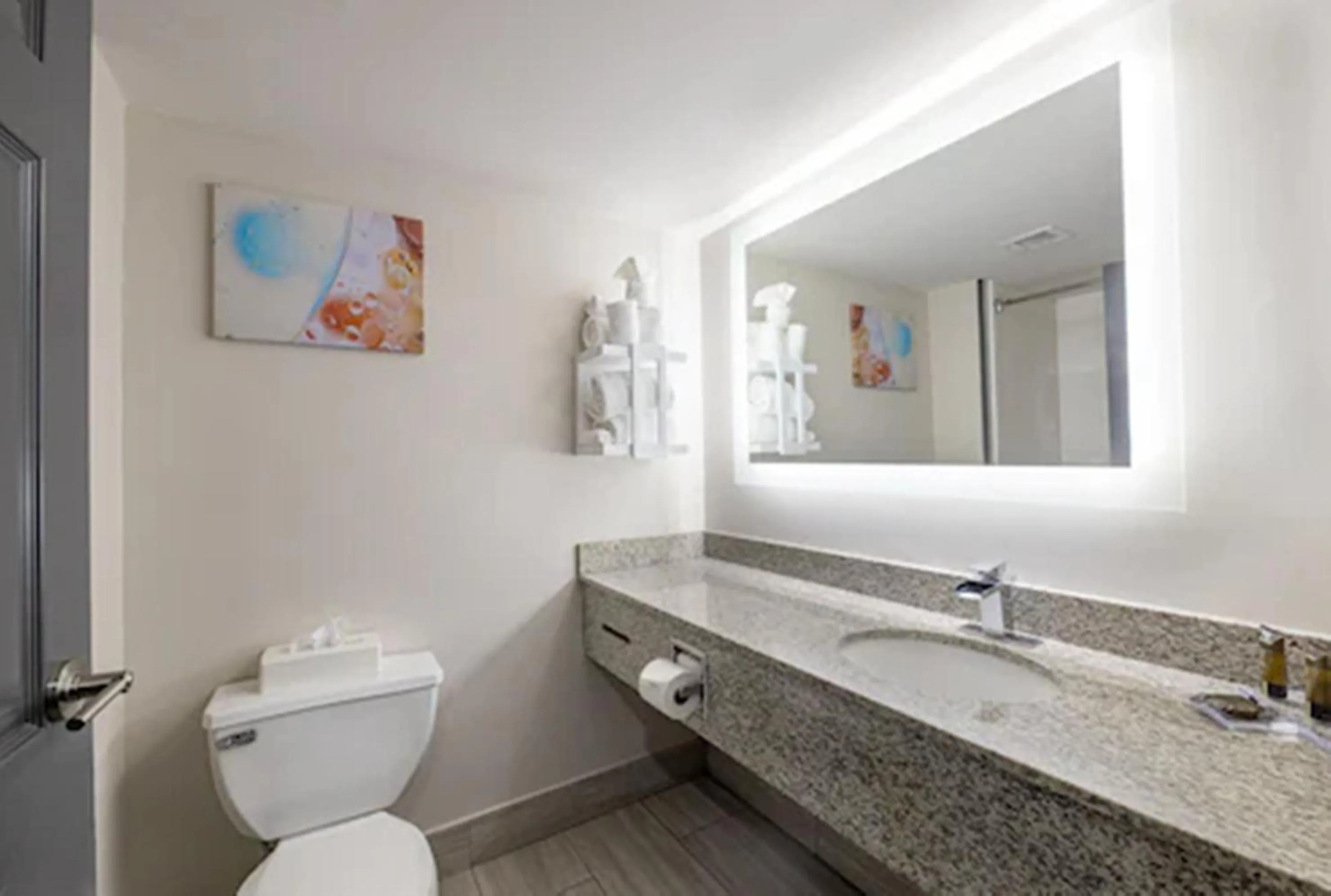 Bathroom in Wingate by Wyndham Atlanta Galleria/ Ballpark