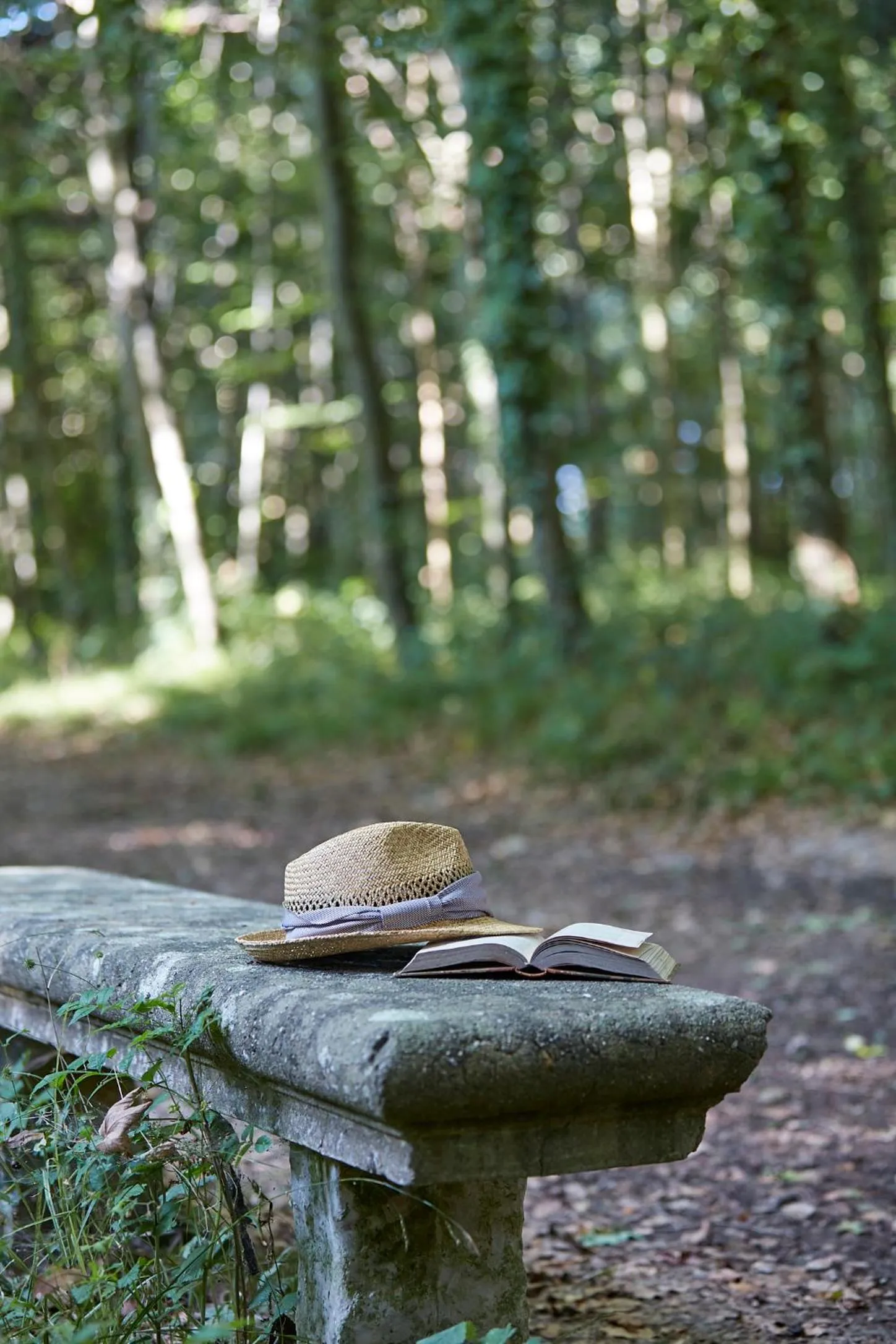 Garden in Chateau d'Audrieu