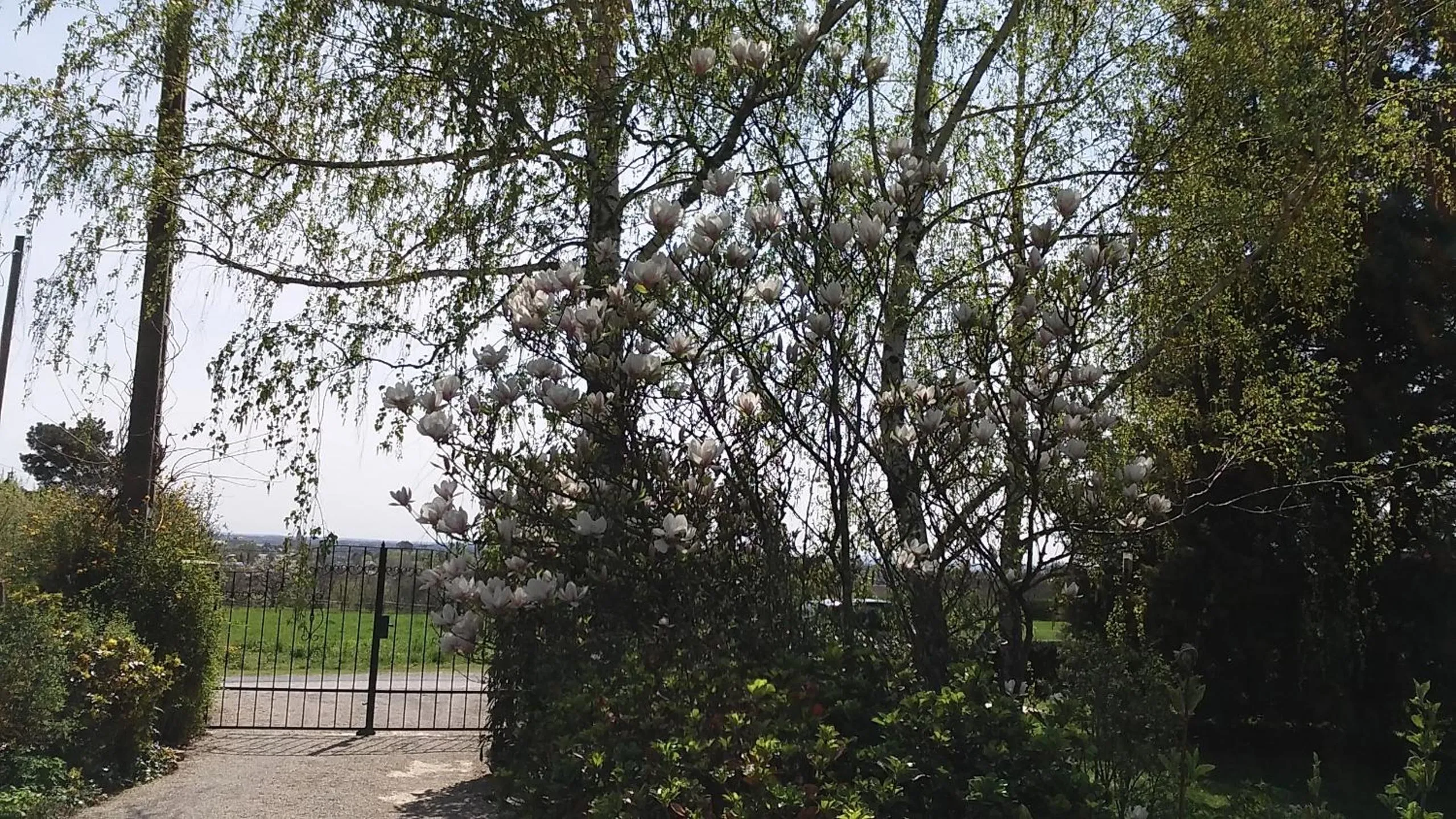 Garden view in Frutta Villa