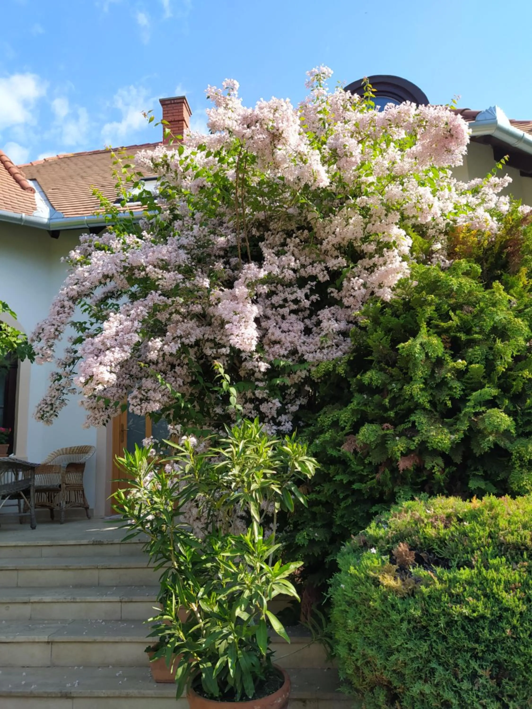 Spring in Frutta Villa