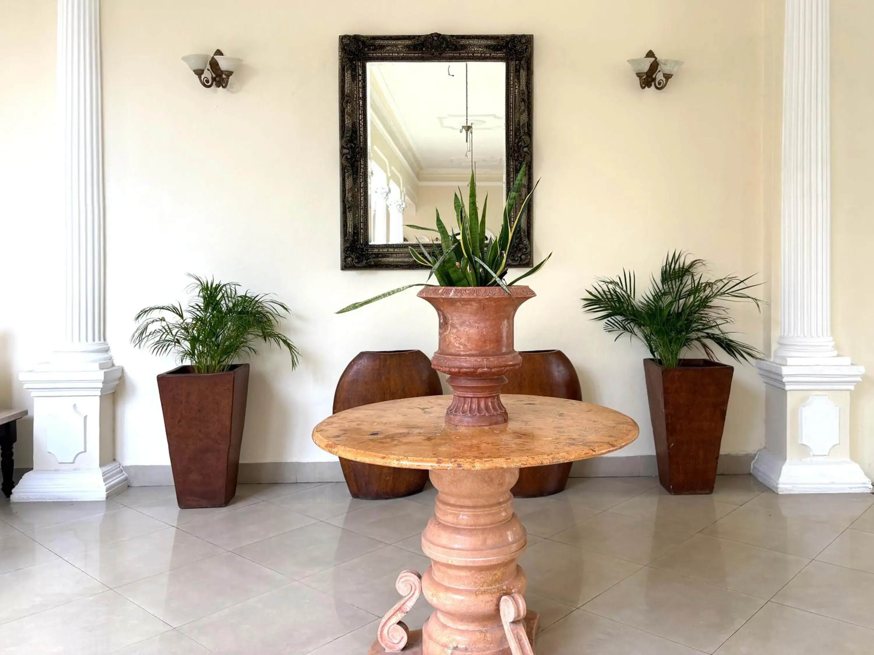 Garden in Gran Real Yucatan Garden in Gran Real Yucatan