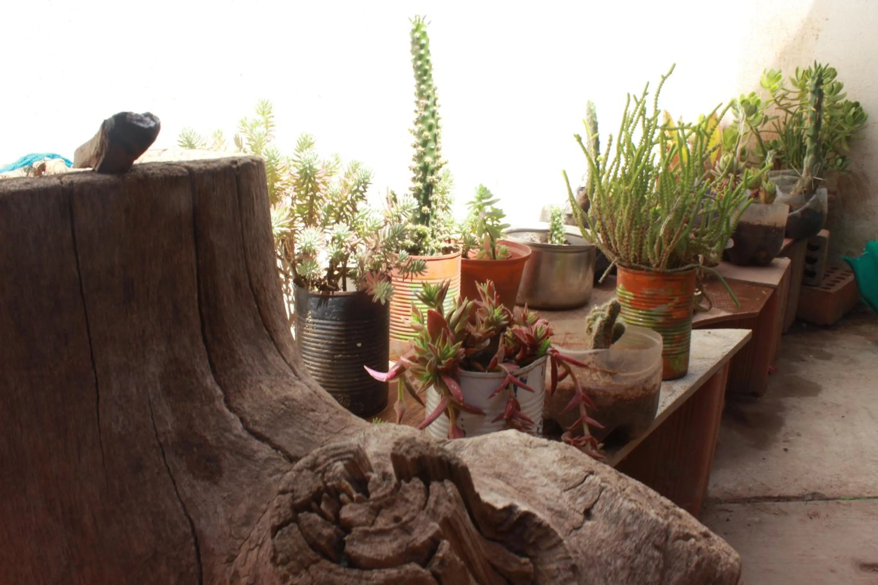 Property building in Namaste House