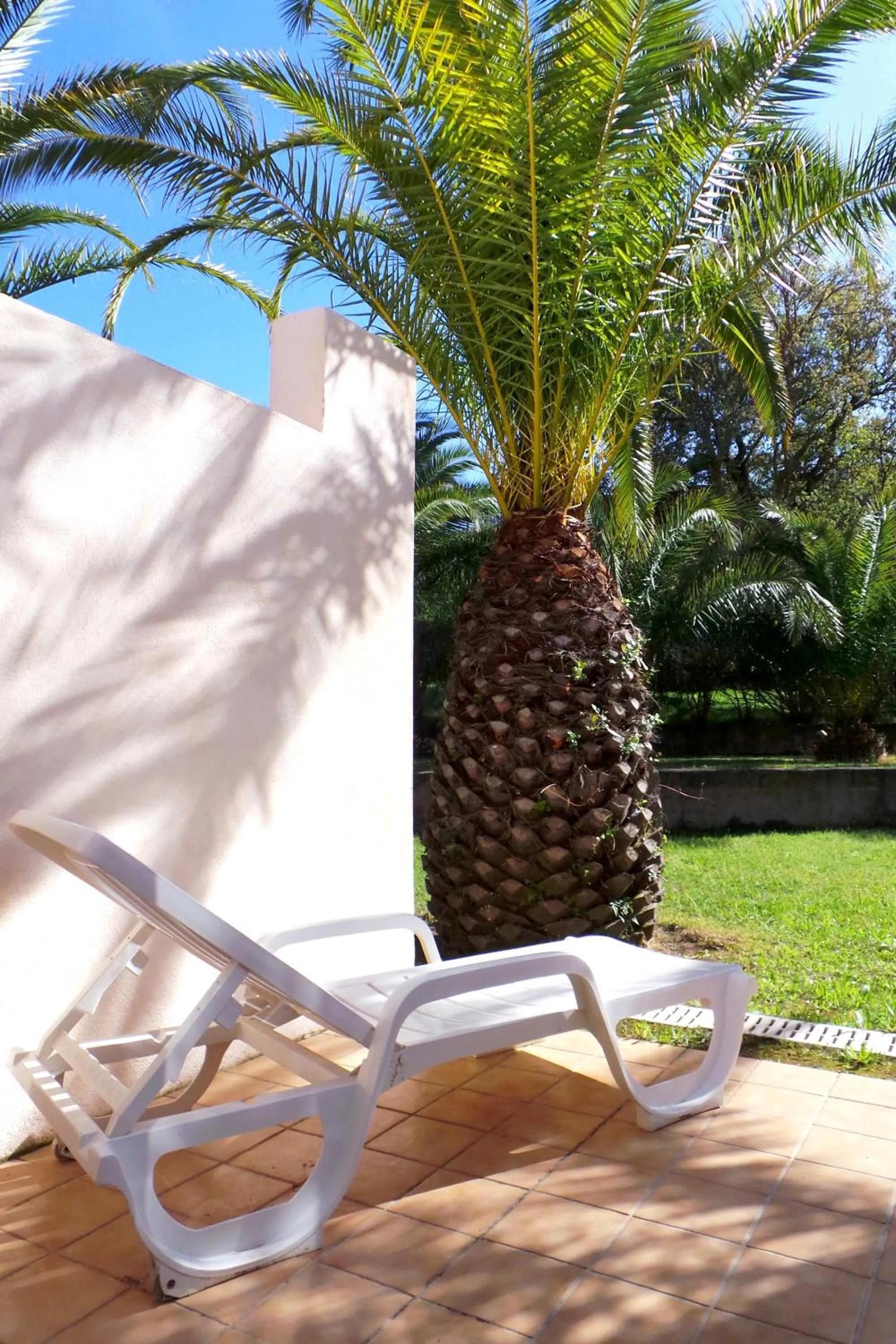 Balcony/Terrace in Hotel Olmuccio